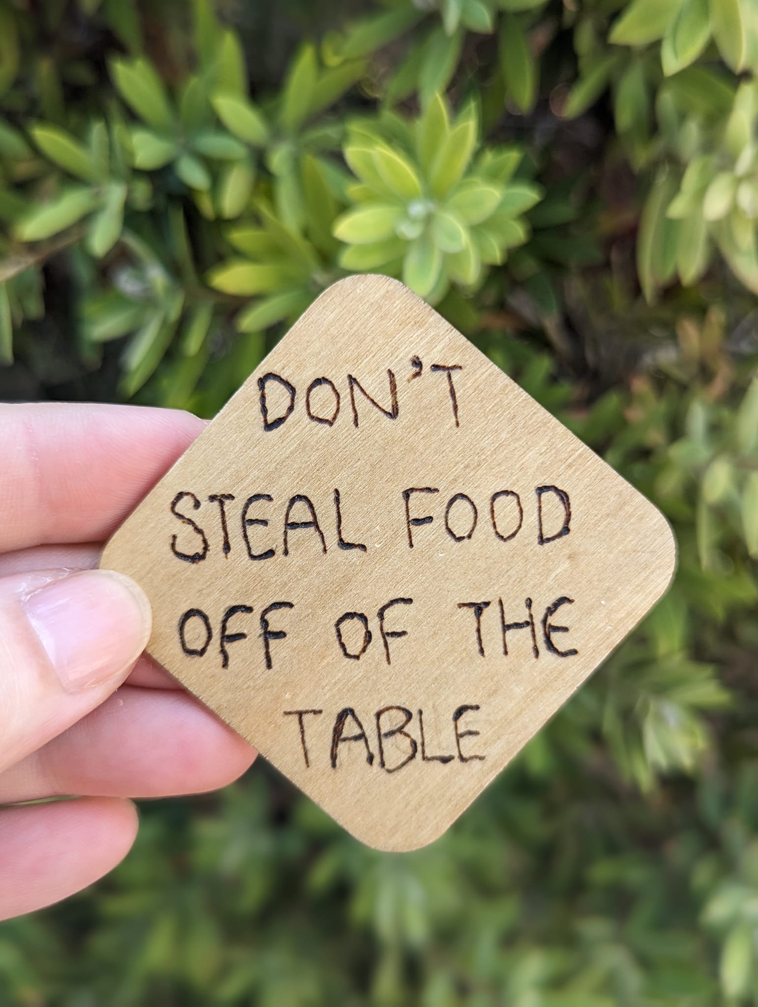 Don't Steal Food Off Of The Table.jpeg