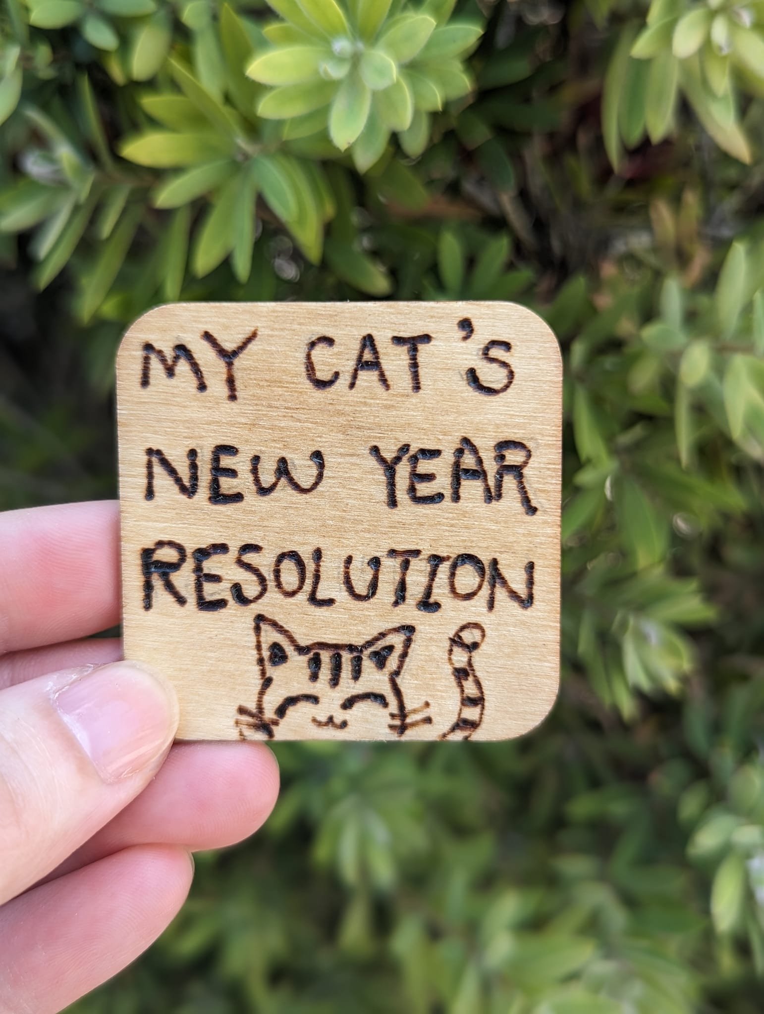 My Cat's New Year Resolutions .jpeg