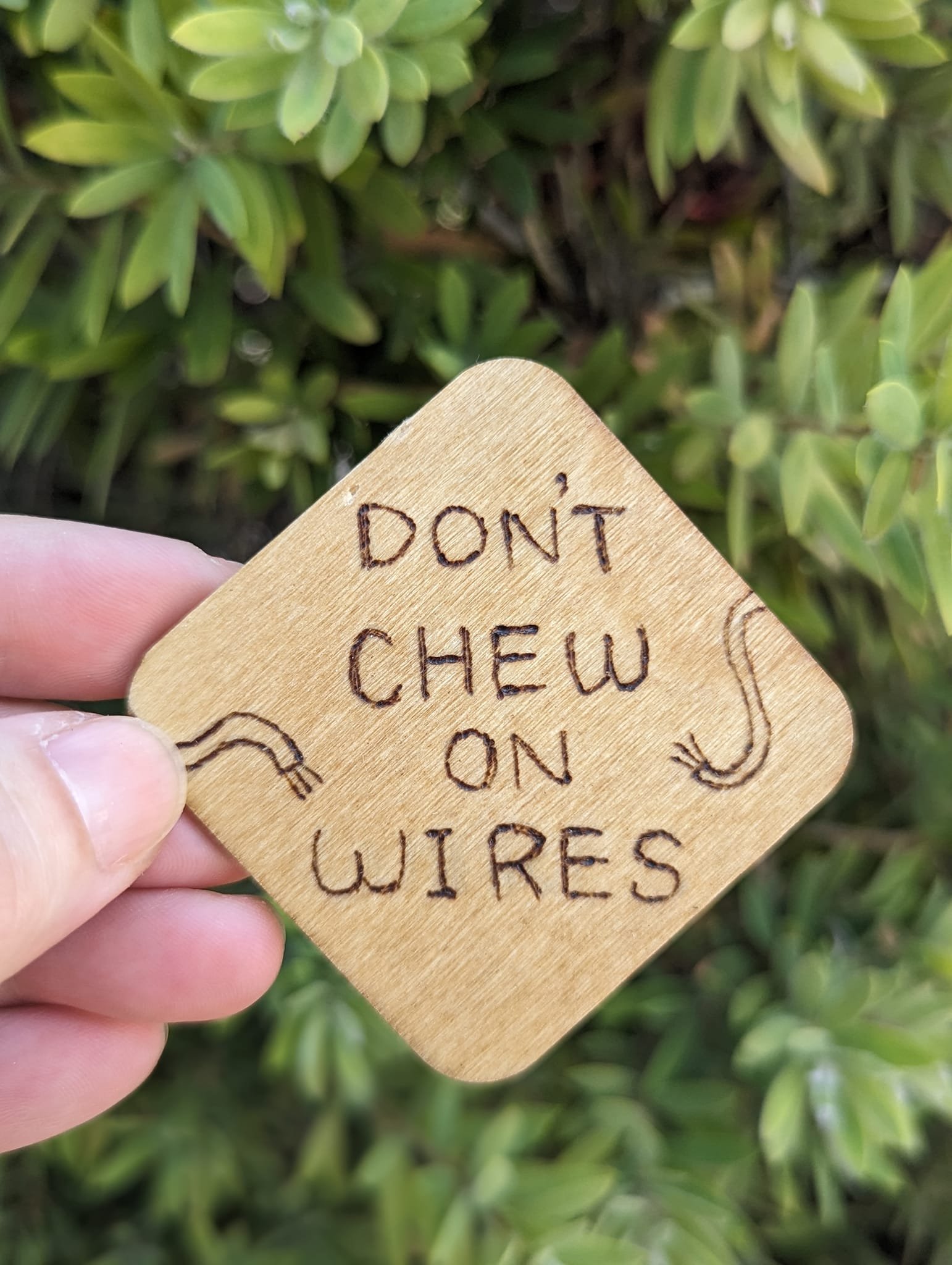 Don't Chew On Wires.jpeg