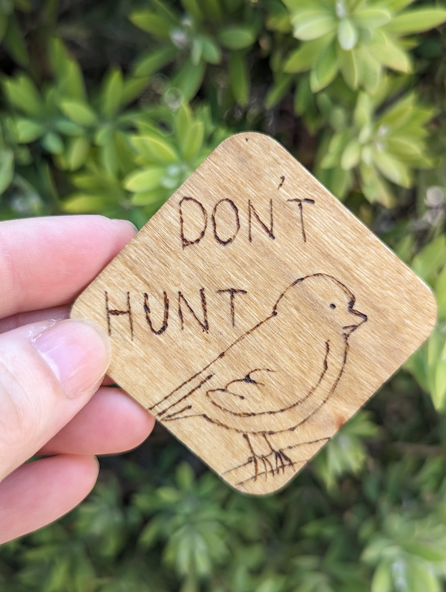 Don't Hunt Birds.jpeg