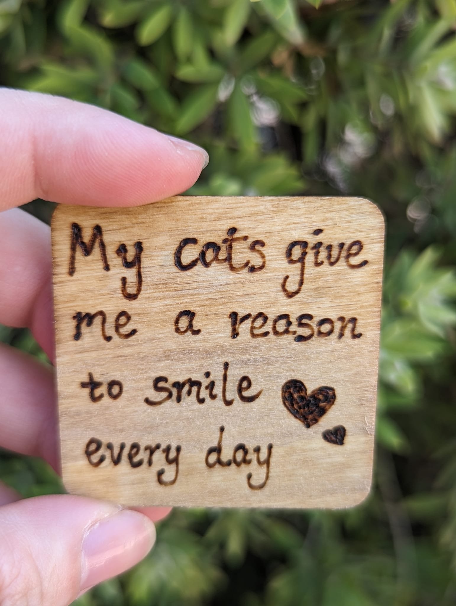 My Cats Give Me A Reason To Smile Everyday Pet Quote Wood Burning Fridge Magnet