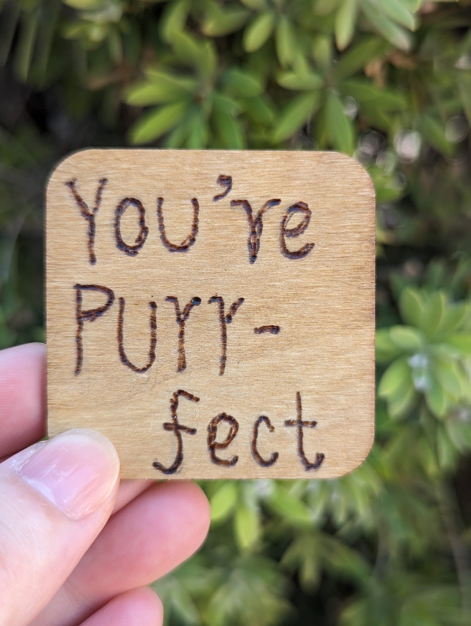You're Purr-fect Pet Quote Wood Burning Fridge Magnet