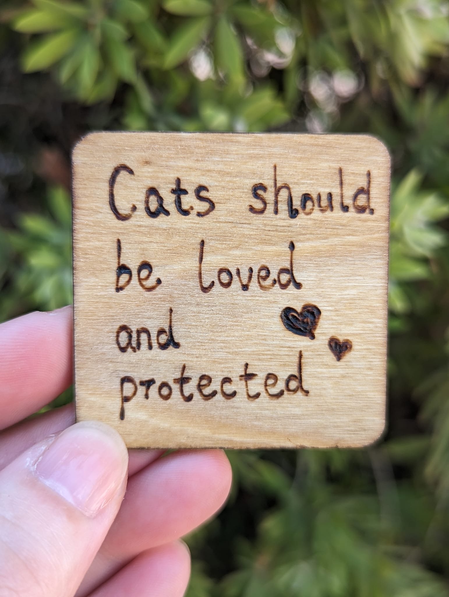 Cats Should Be Loved And Protected Pet Quote Wood Burned Fridge Magnets