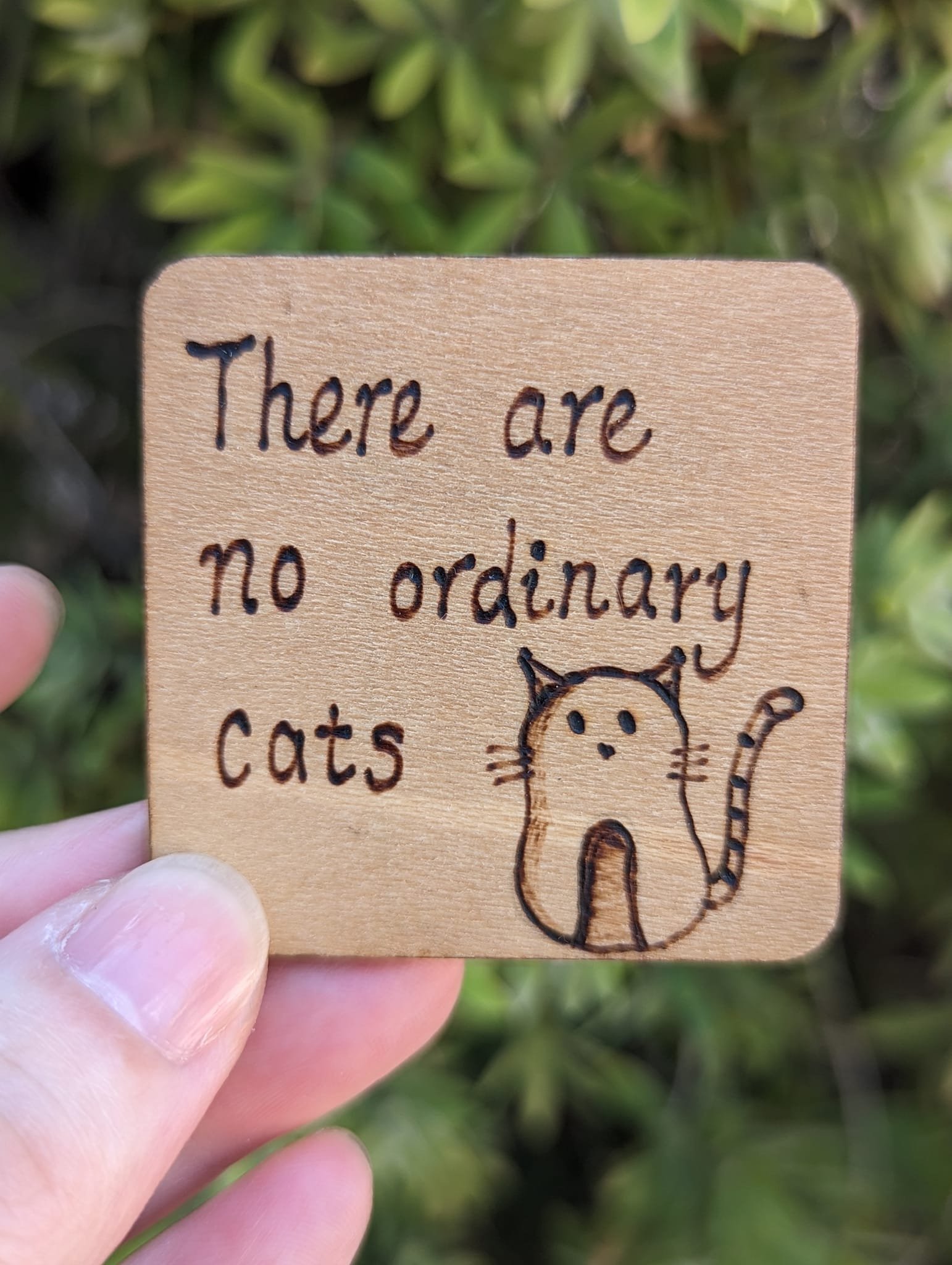 There Are No Ordinary Cats Pet Quote Wood Burned Fridge Magnets