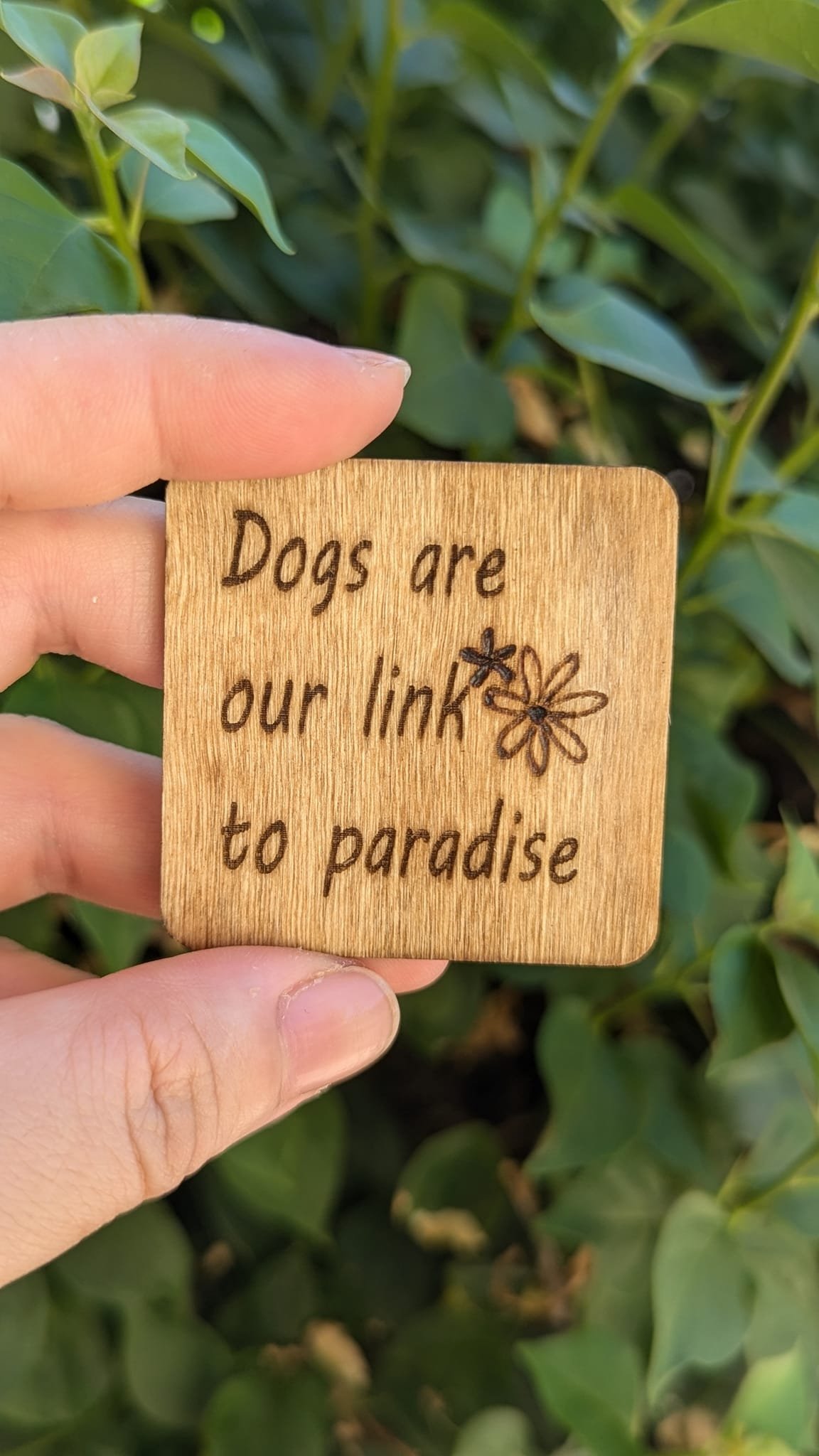 Dogs are our link to paradise.jpg