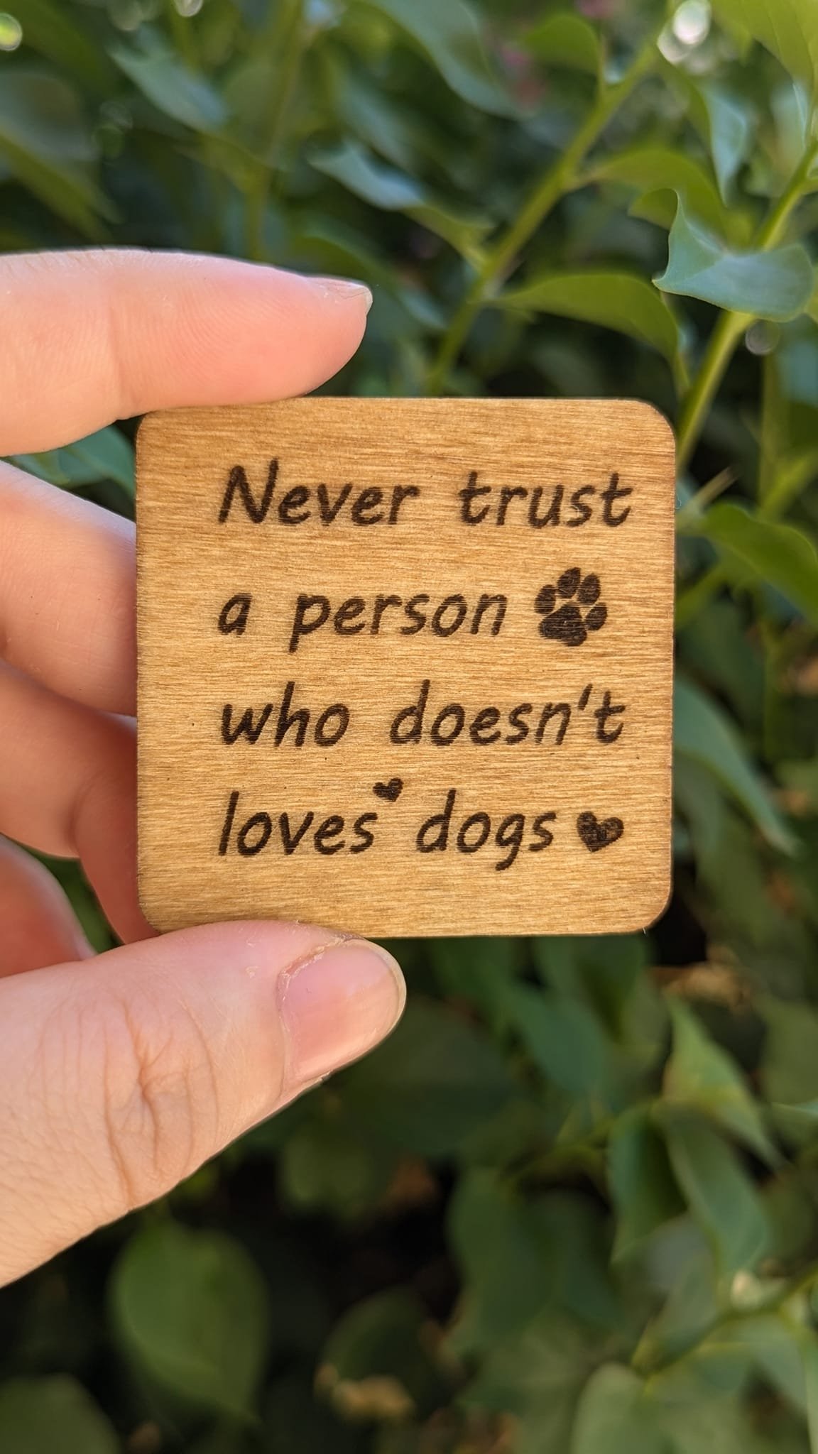 Never trust the person who doesn't love dog.jpg