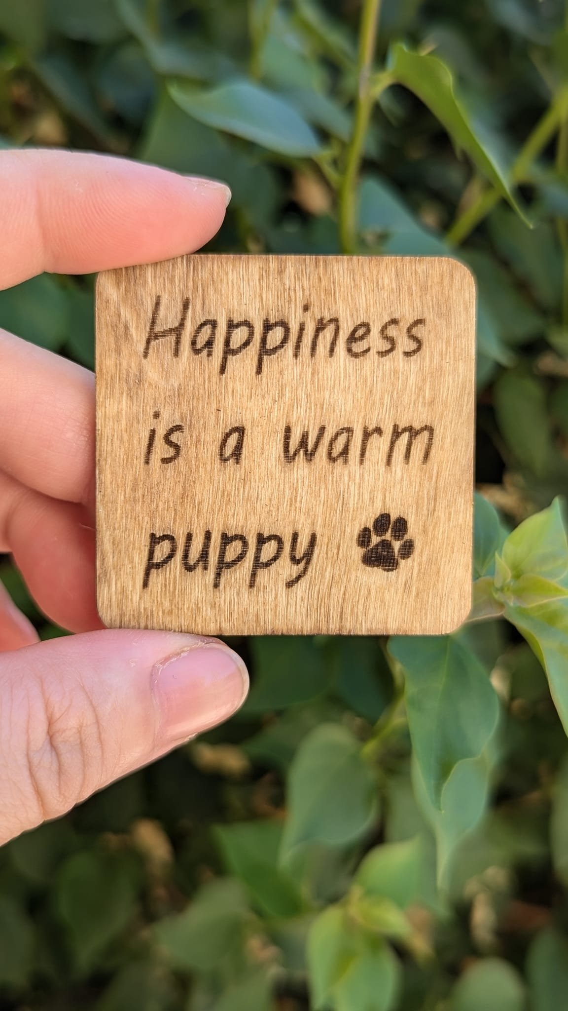Happiness is a warm puppy.jpg