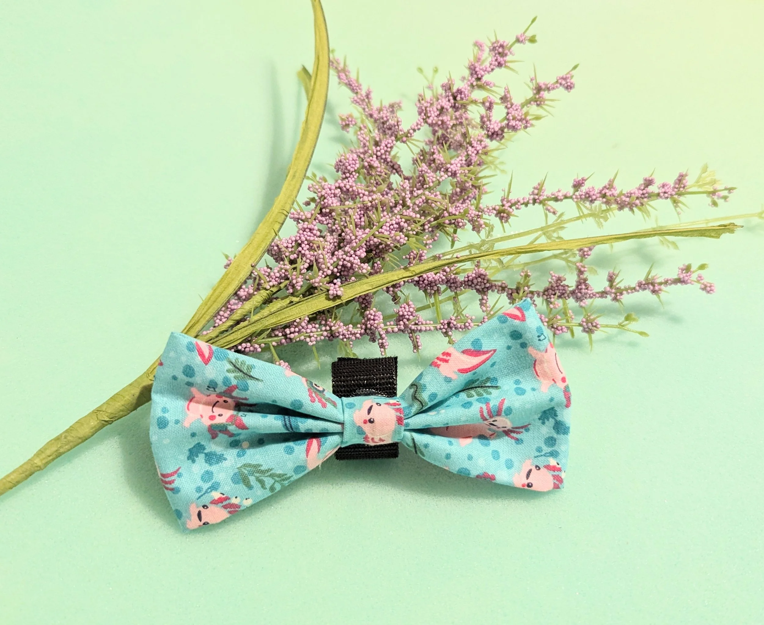 coral bowties