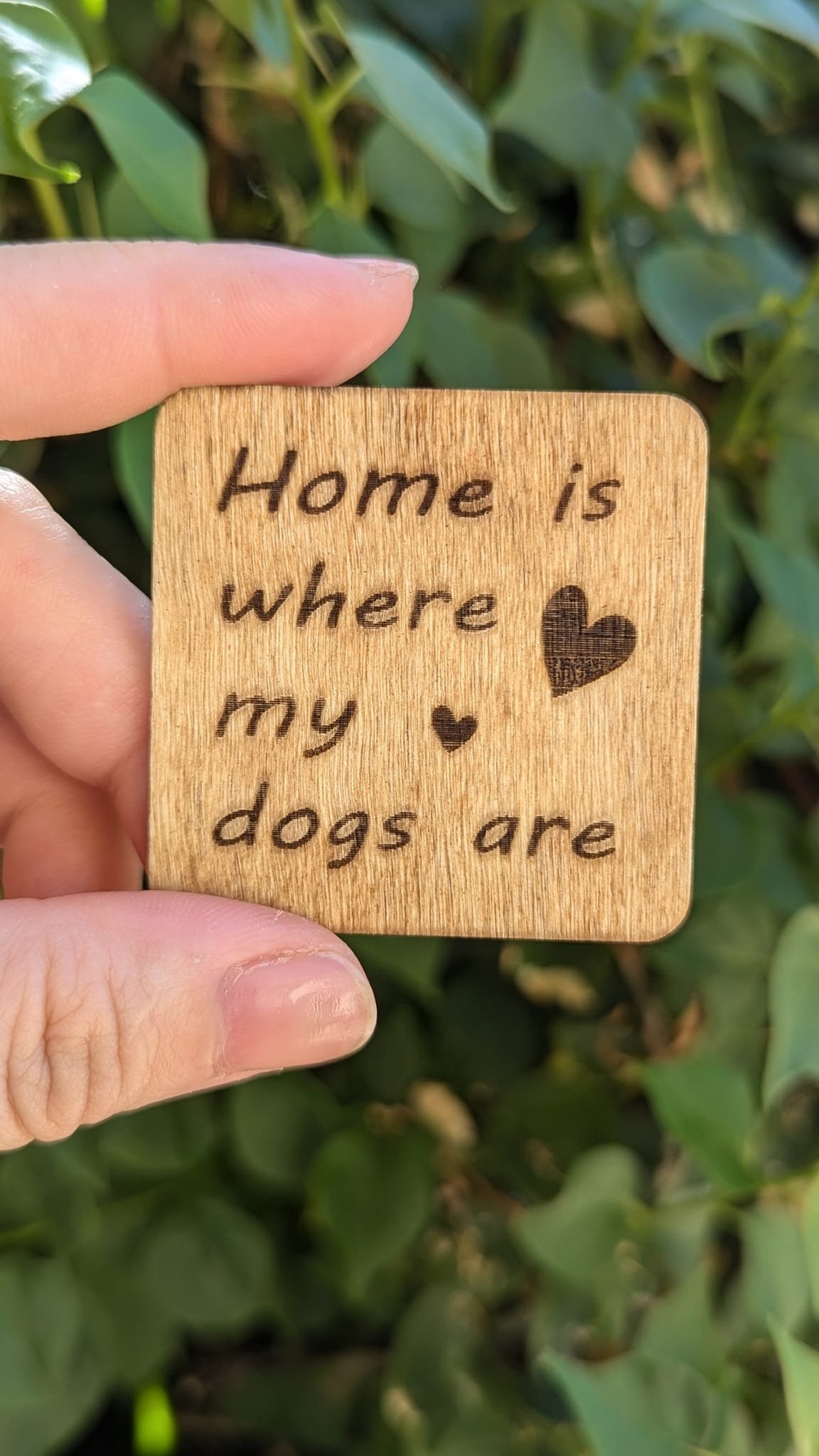 Home is where my dogs are.jpg