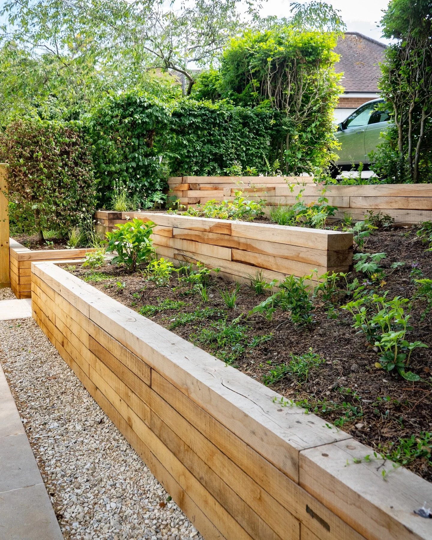 Elevate your outdoor space&hellip;

Oak sleeper retention softens the terrace beds, creating a beautiful contrast with the rigid limestone. A stunning way to add gradient and give your garden a fresh, contemporary look.

#suffolk #eastanglia #saffron