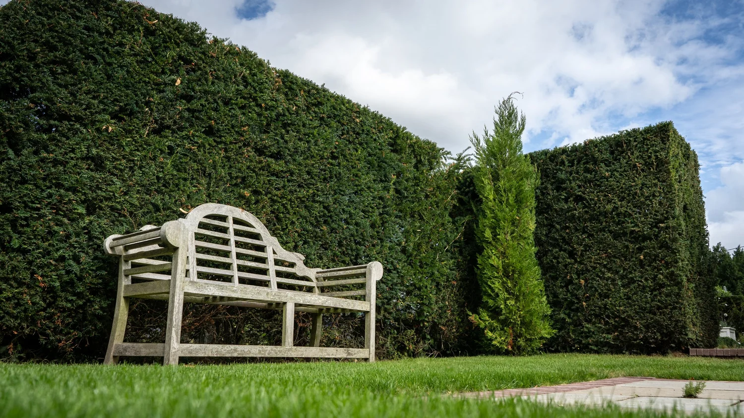 A designed garden with bench