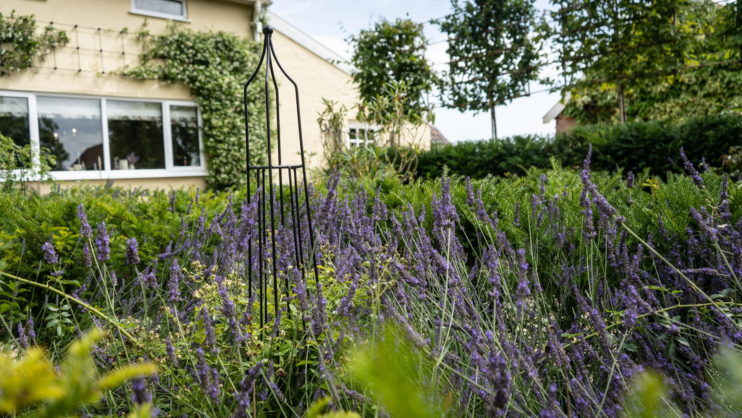 A Suffolk Landscape Construction garden