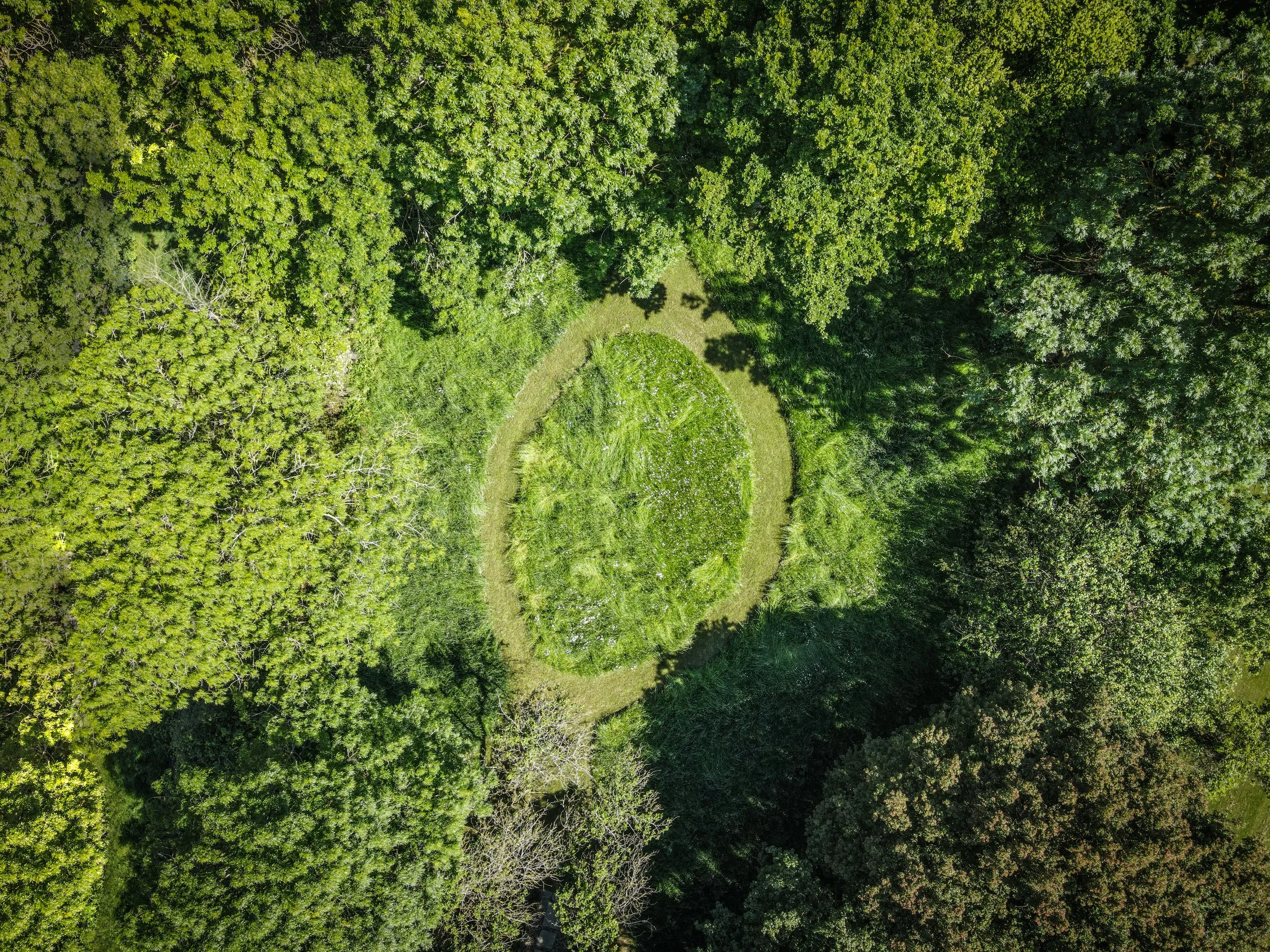 Aerial view of Pages Farm