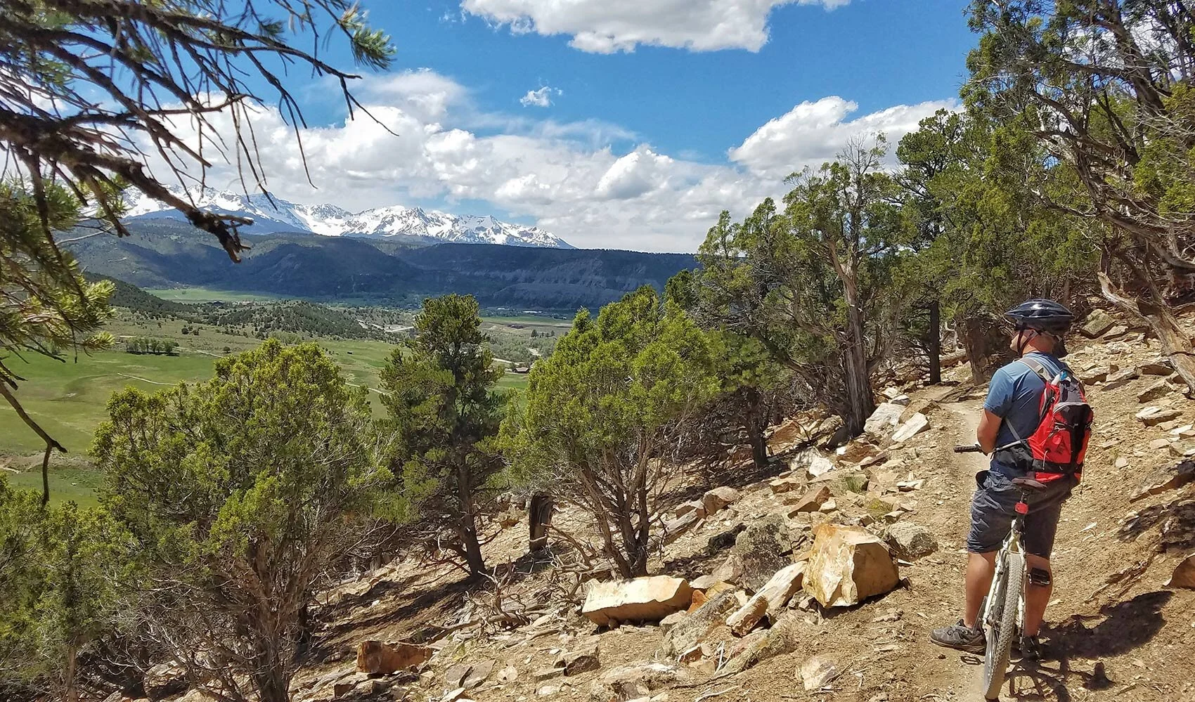 RAT Seasonal Closure Starts Dec 1