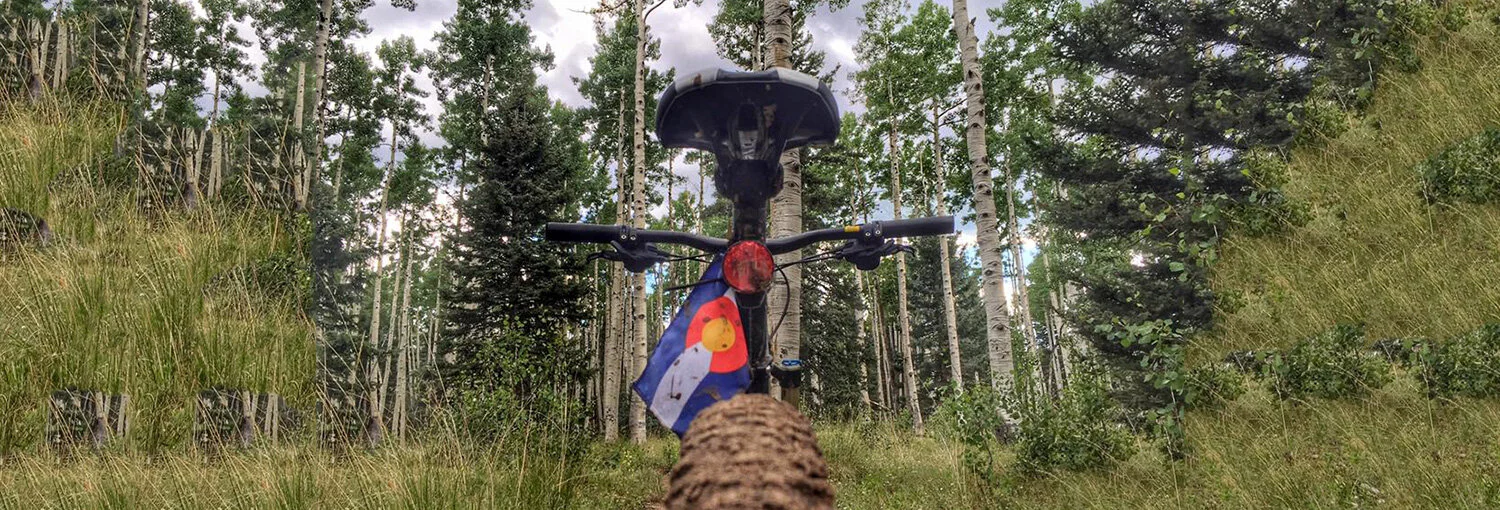 Copmoba's Donation Campaign Power the Plunge Exceeds Fundraising Goal