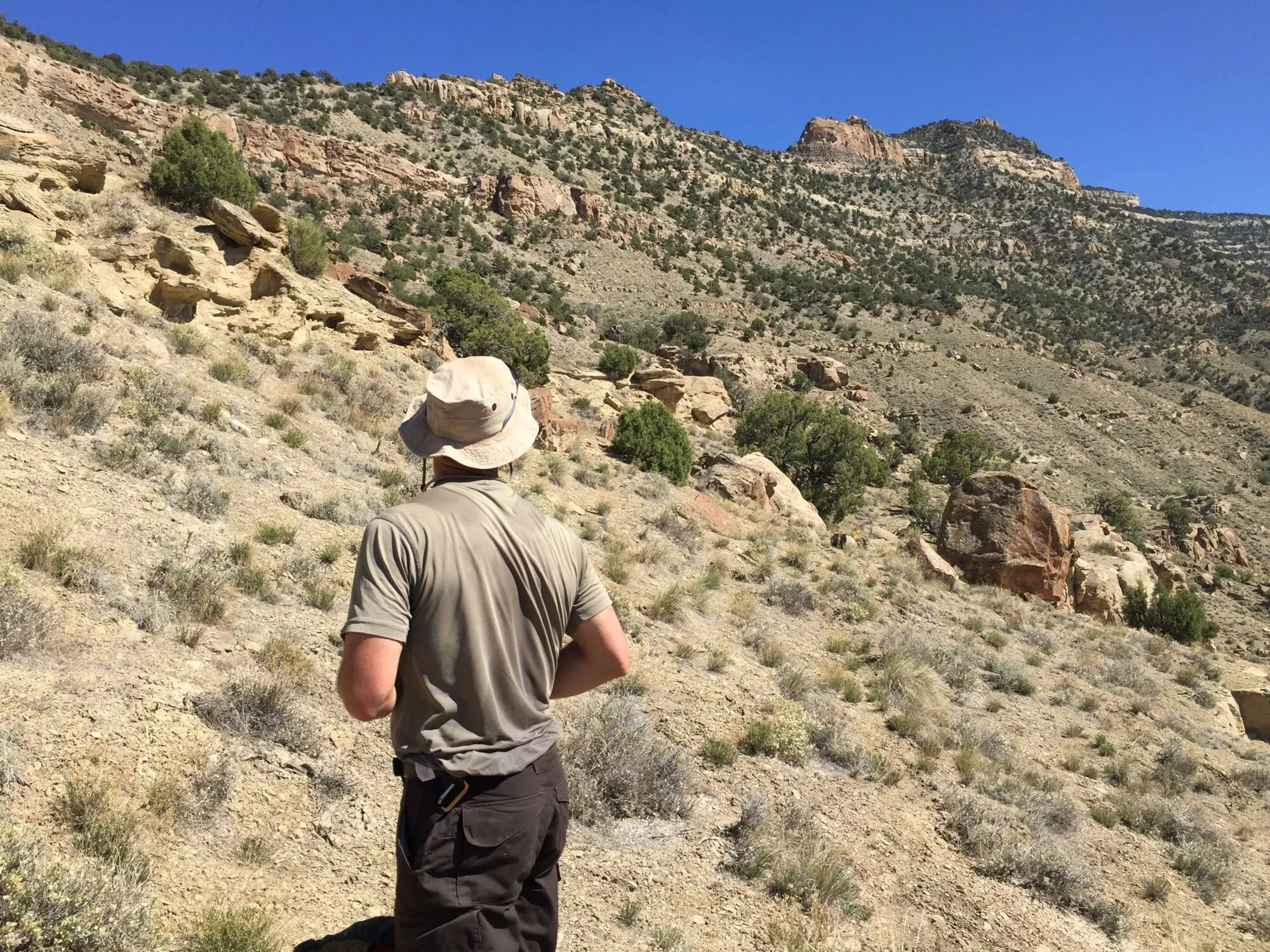 $10,000 for the Palisade Plunge from WCCF