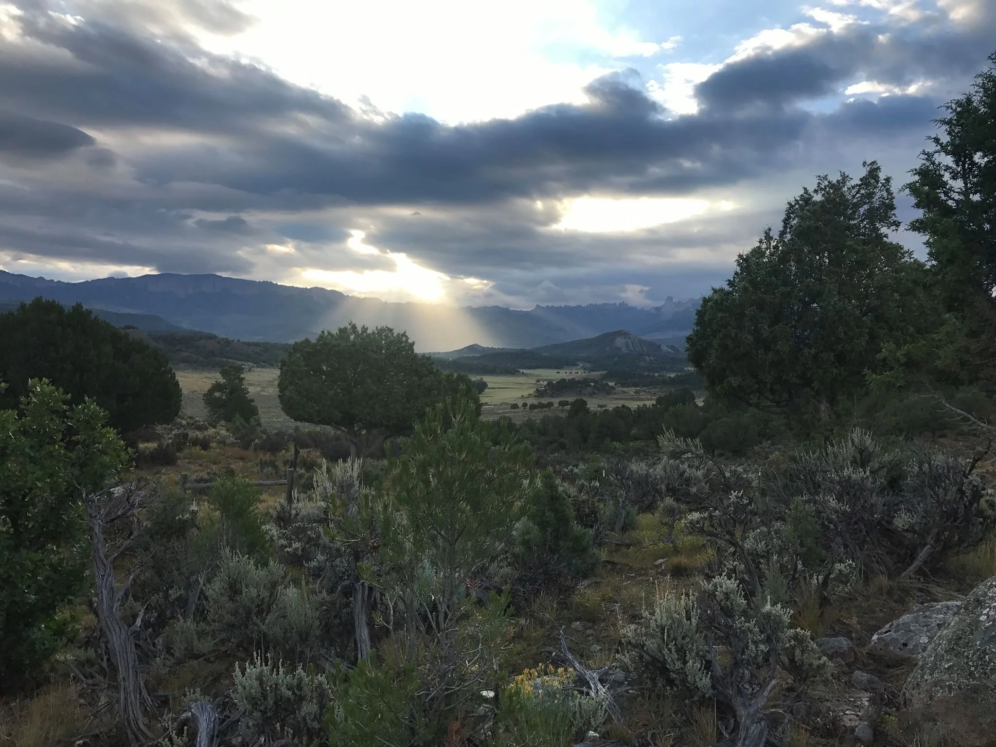 RAT to Elect New Local Steering Committee in September 2018