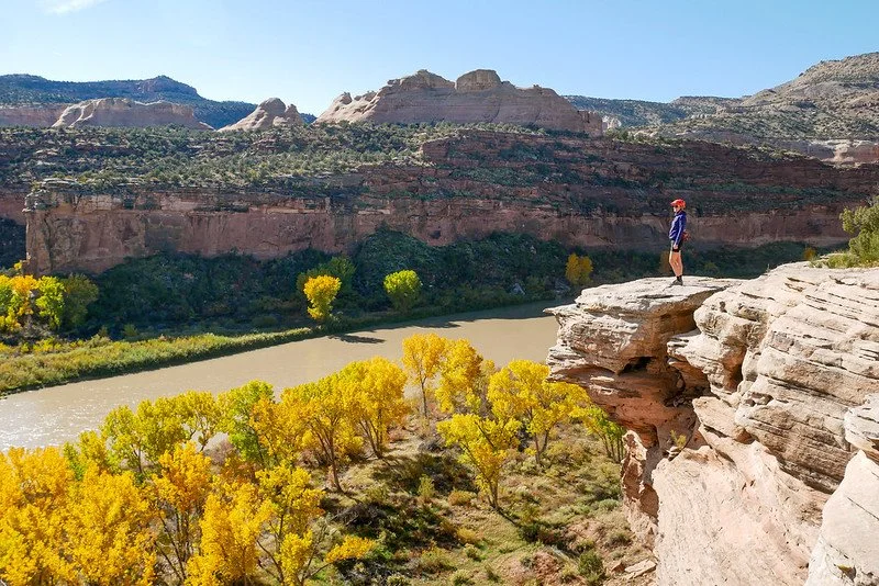 Small Group Dig Day at Kokopelli