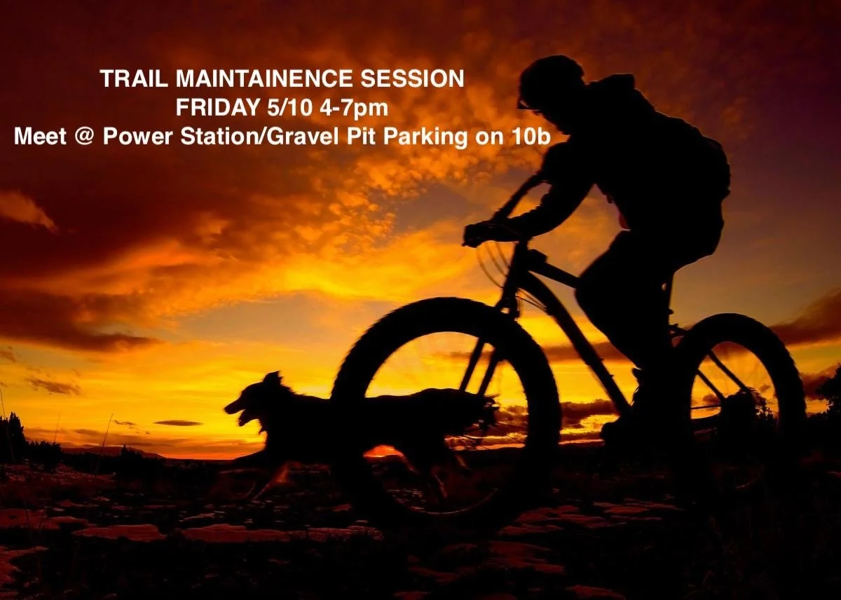 RAT Trail Maintenance - Meet at TH off 10B 