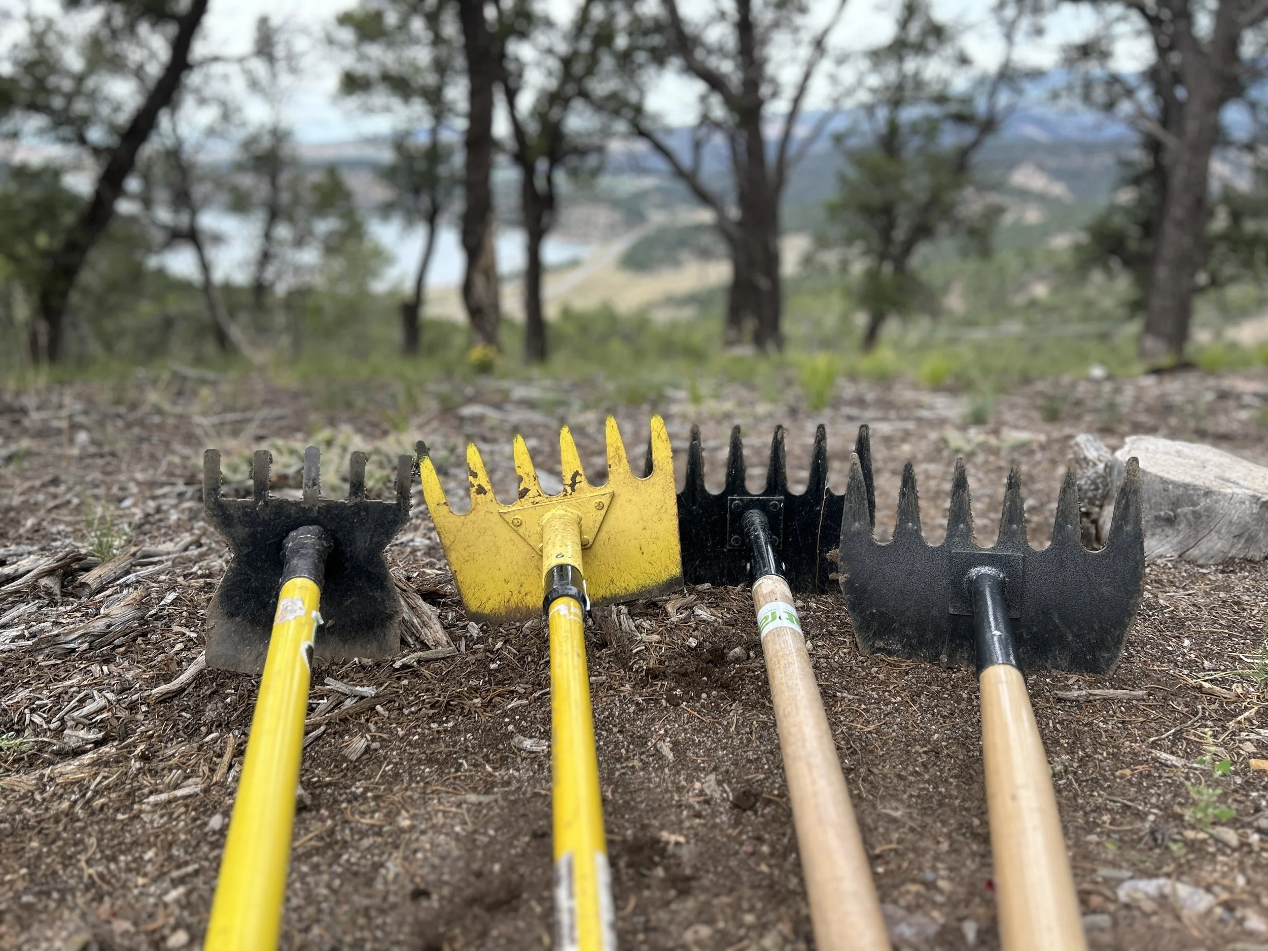 RAT Volunteer Trail Building - May 10