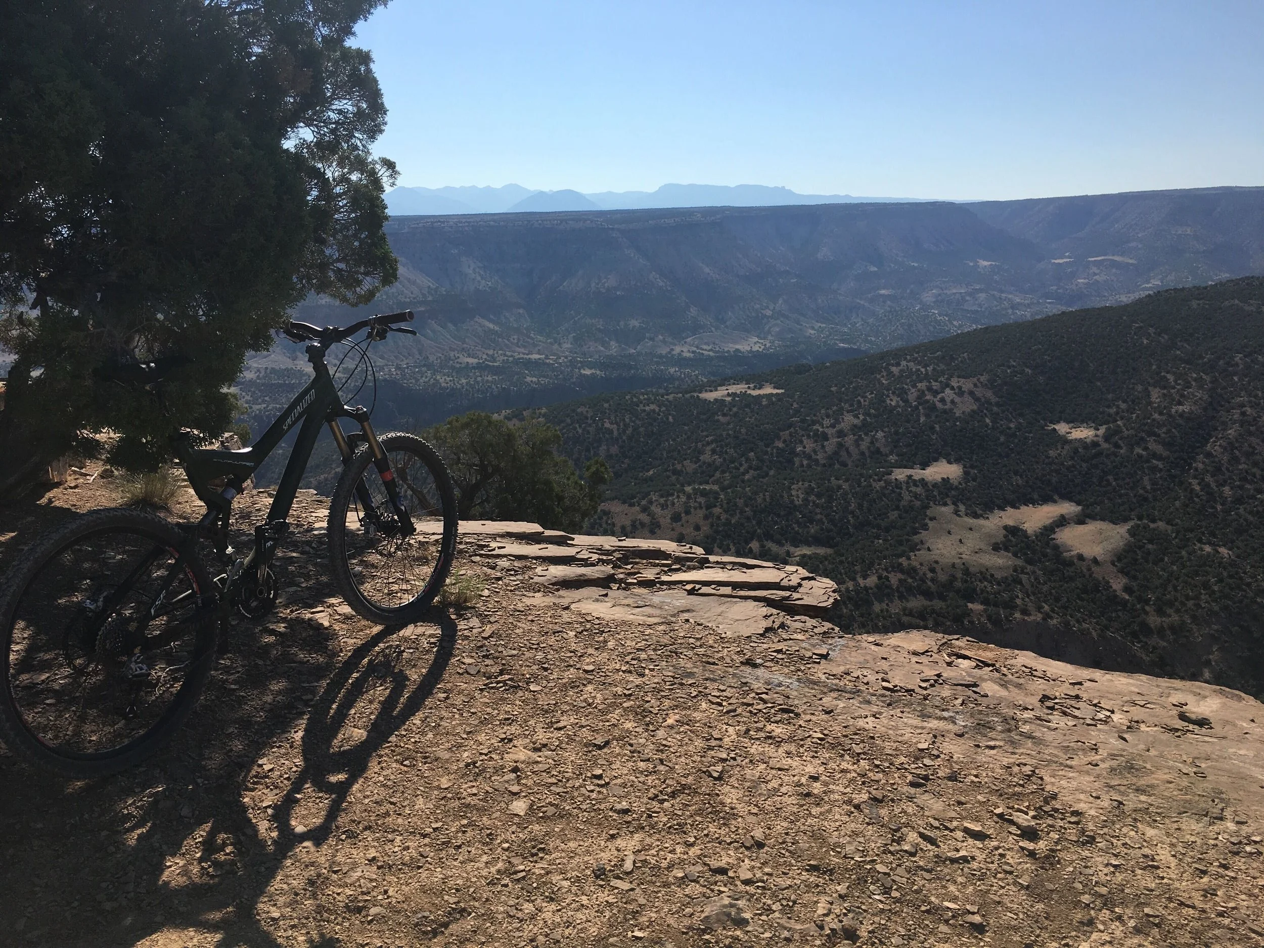 DAMB Quarterly Social - March 12