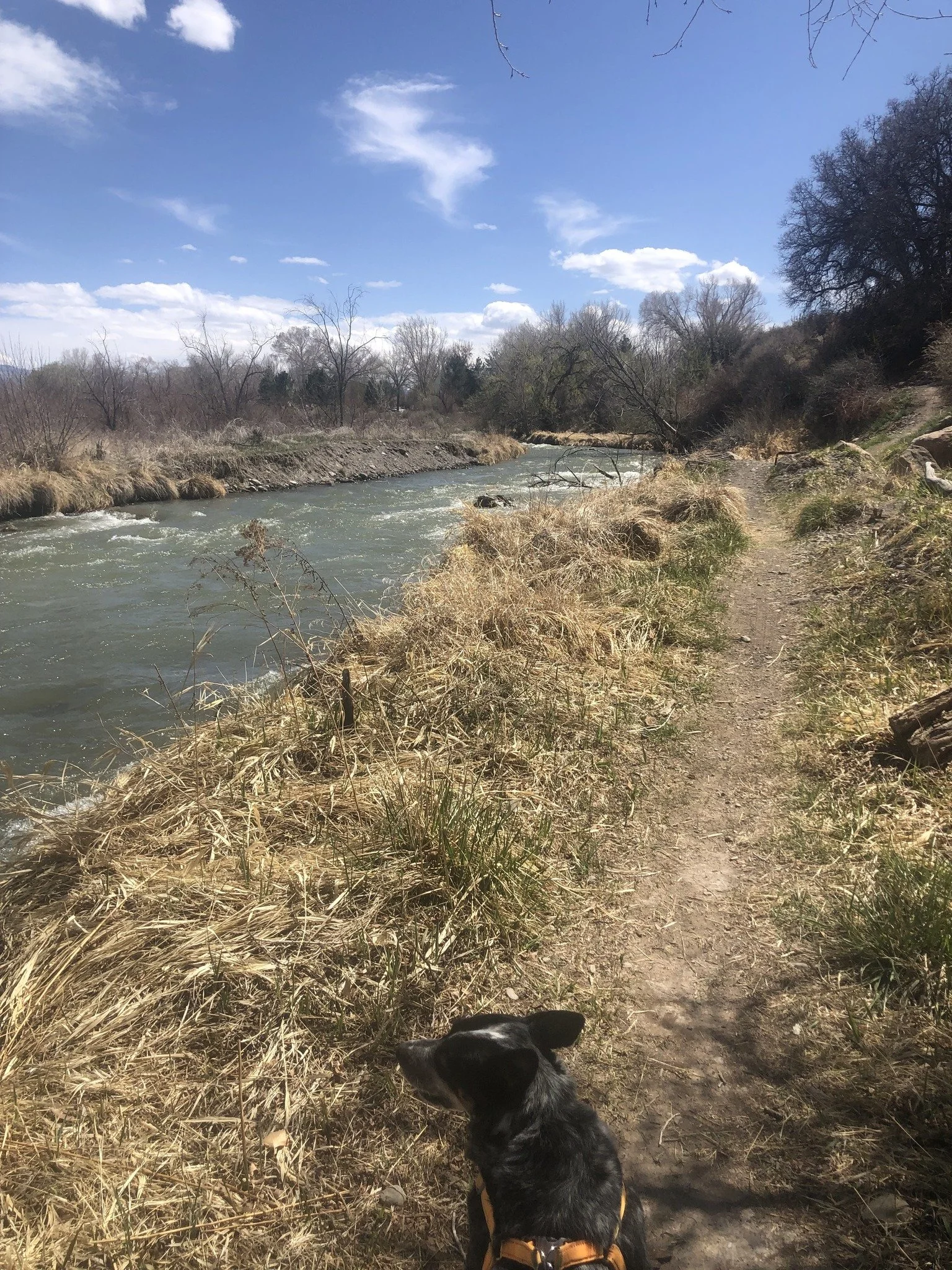 Partner Event - Earth Week Trailbuilding with FoRU