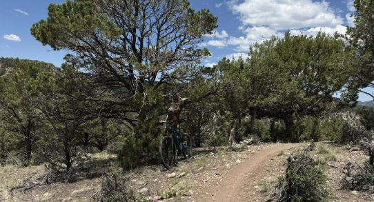 RAT Trail Work Day - May 10th