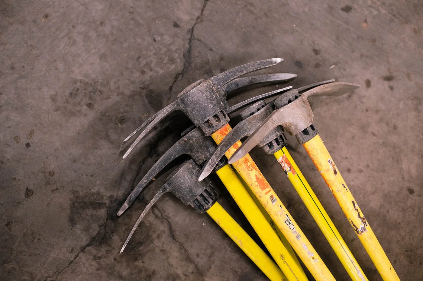 Electric Hills Dig Day 