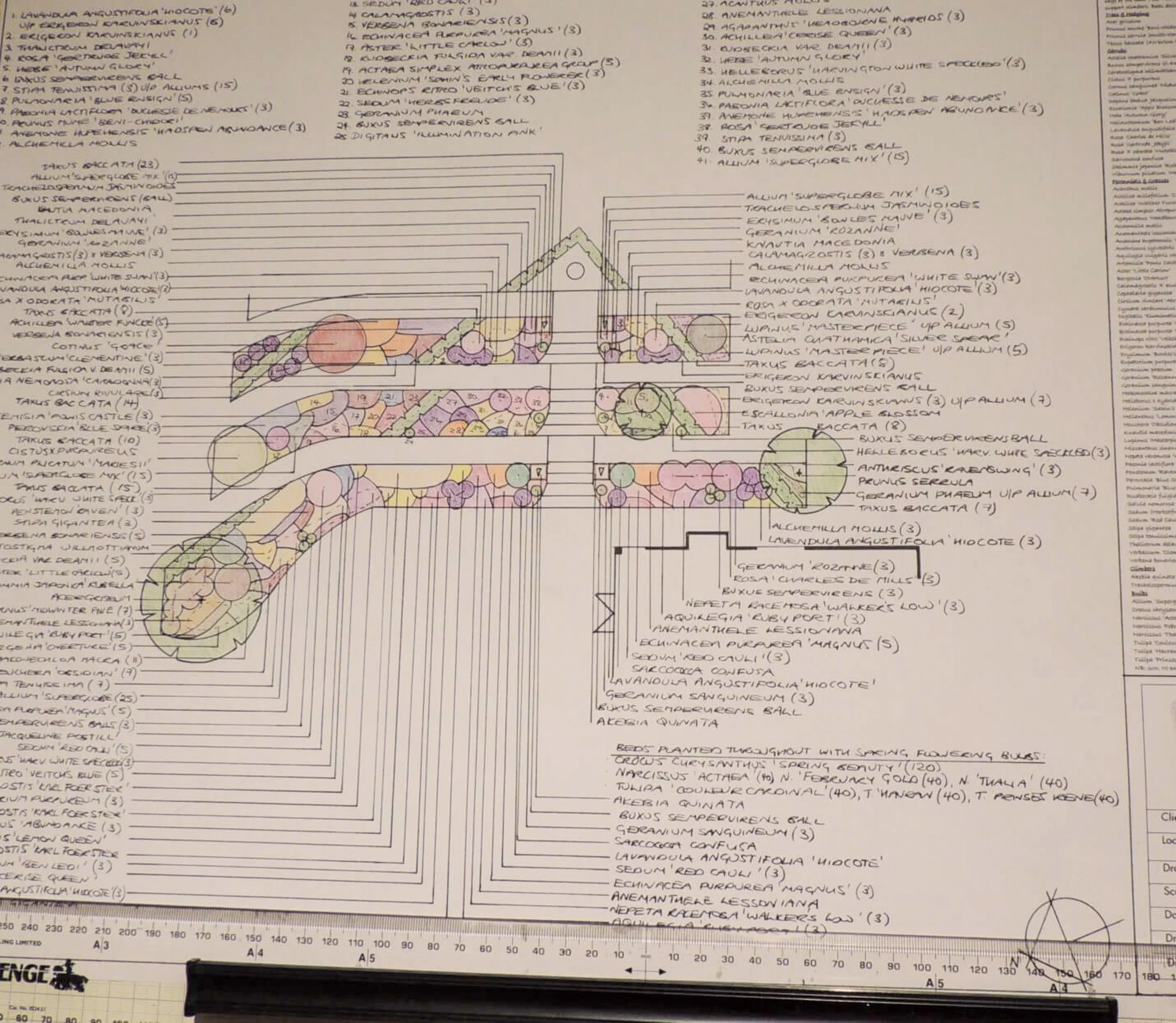 Naturalistic Planting Design — HerOutdoorz - Garden Designer and Nature ...