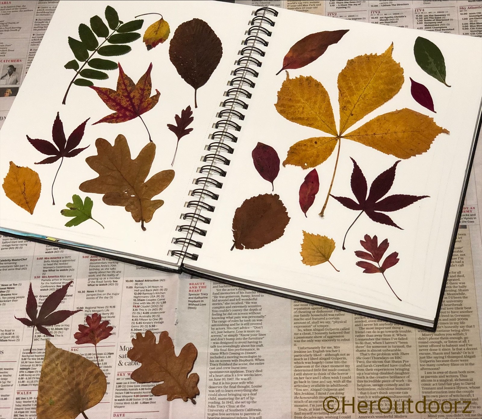 Nature Journaling HerOutdoorz Garden Designer And Nature Writer