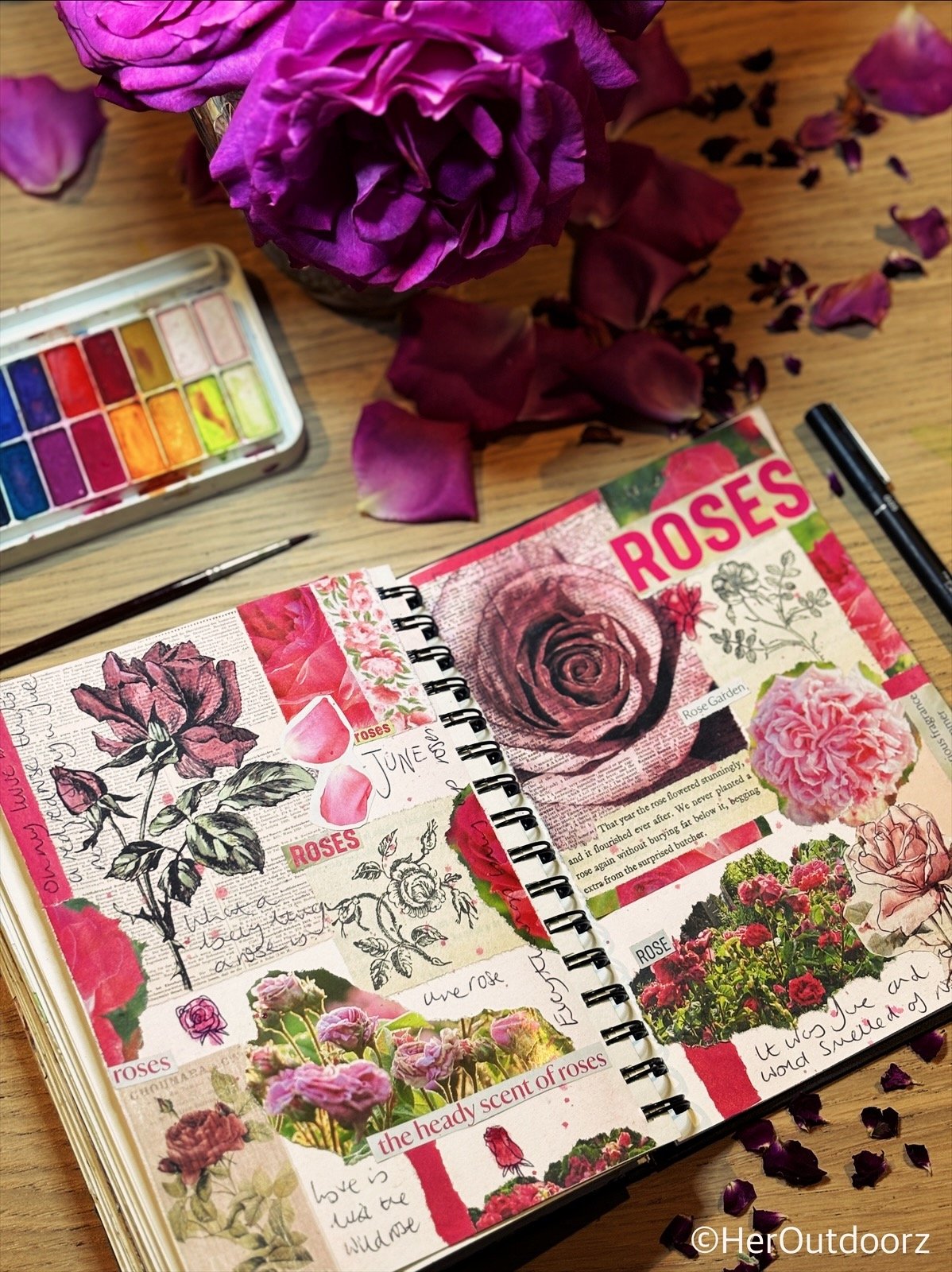 Gardens of Roses — HerOutdoorz - Garden Designer and Nature Writer