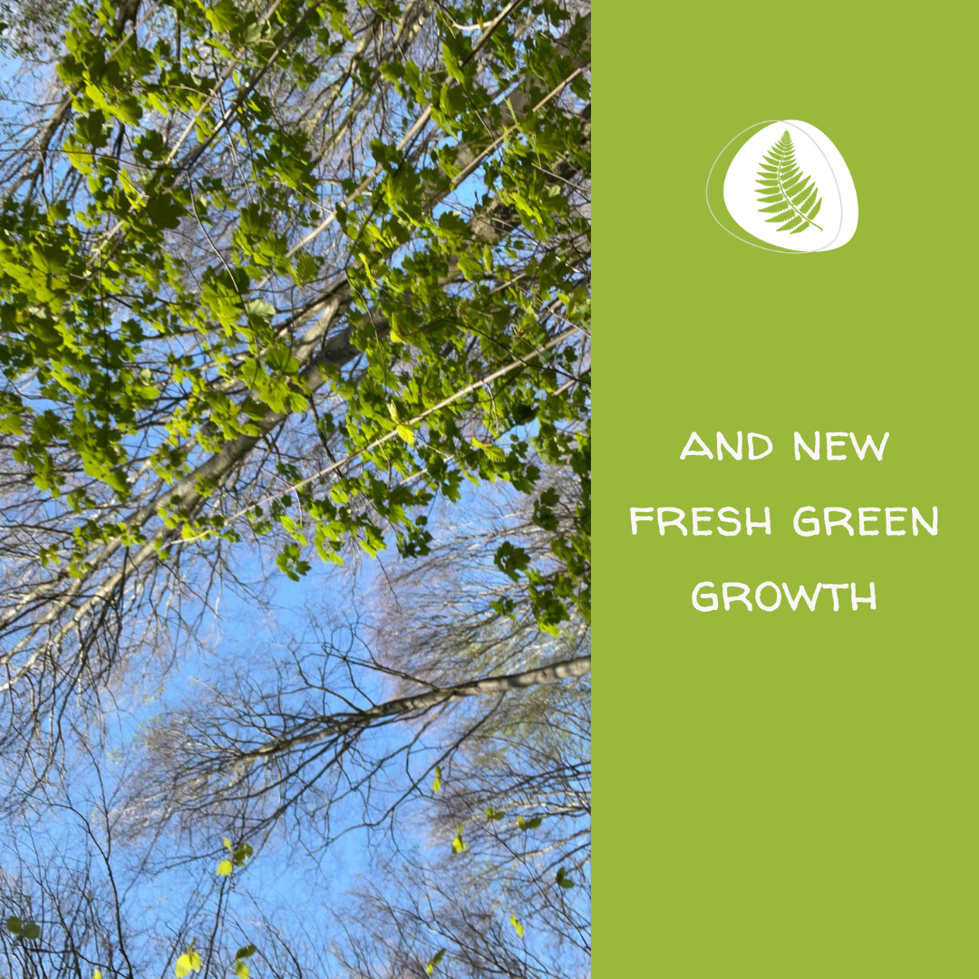 The Brilliance of Budburst — HerOutdoorz - Garden Designer and Nature ...