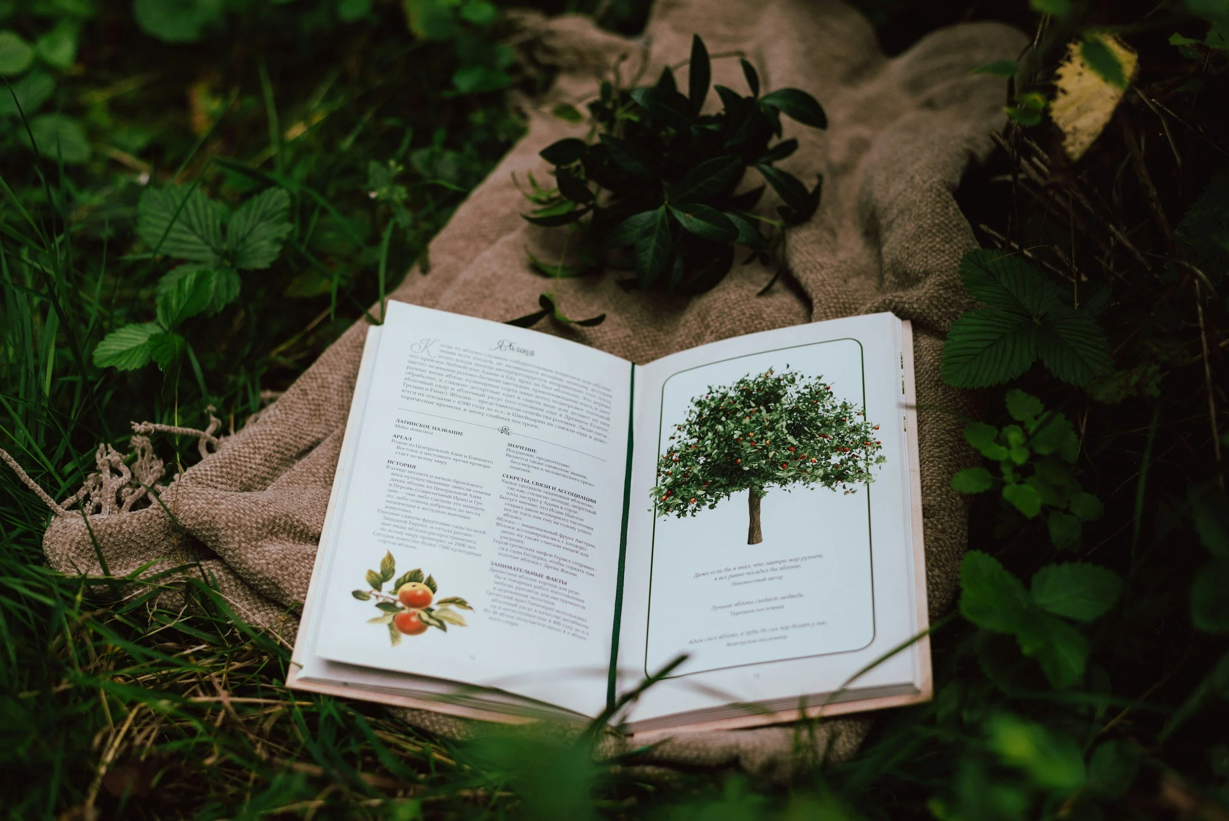 unsplash-image-TvJgOETW1j4.jpg