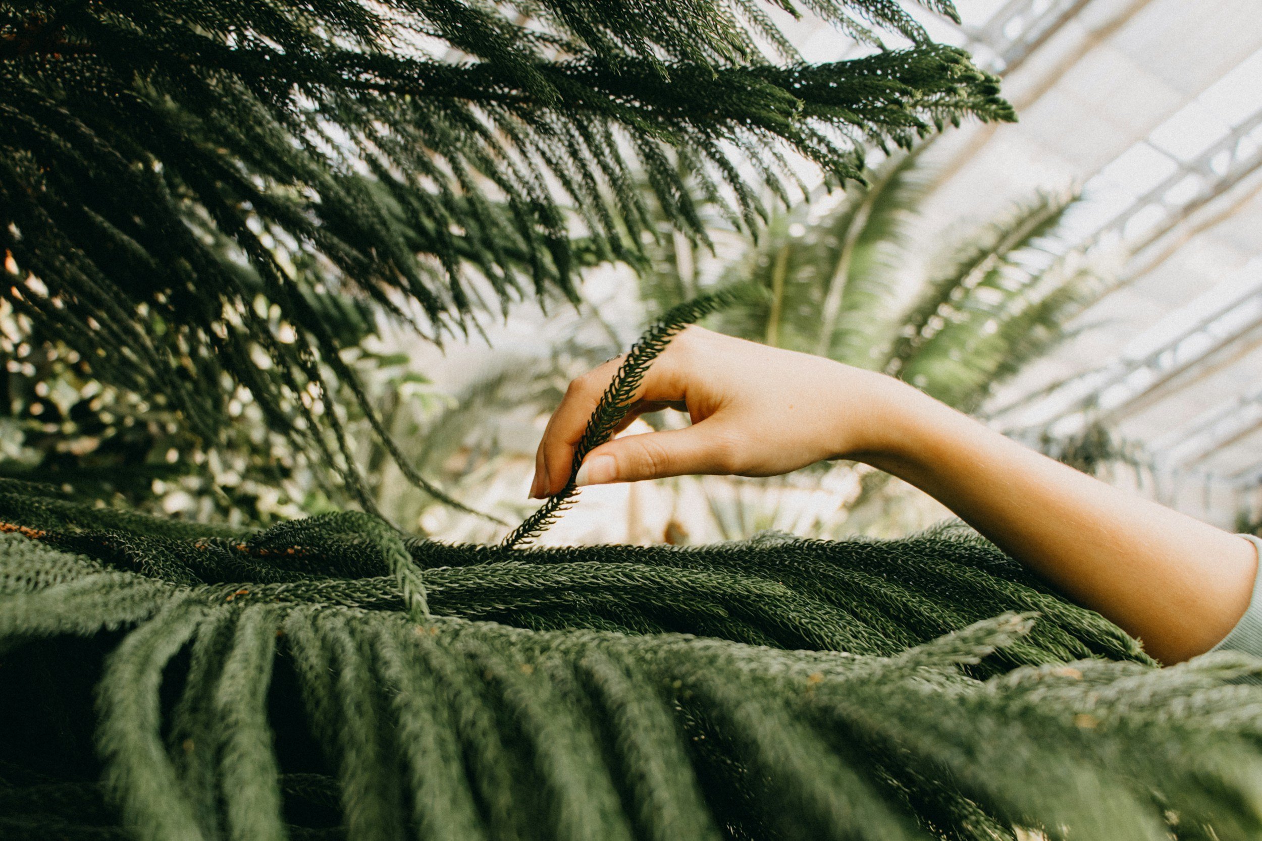 unsplash-image-I8dKSHkGRas.jpg