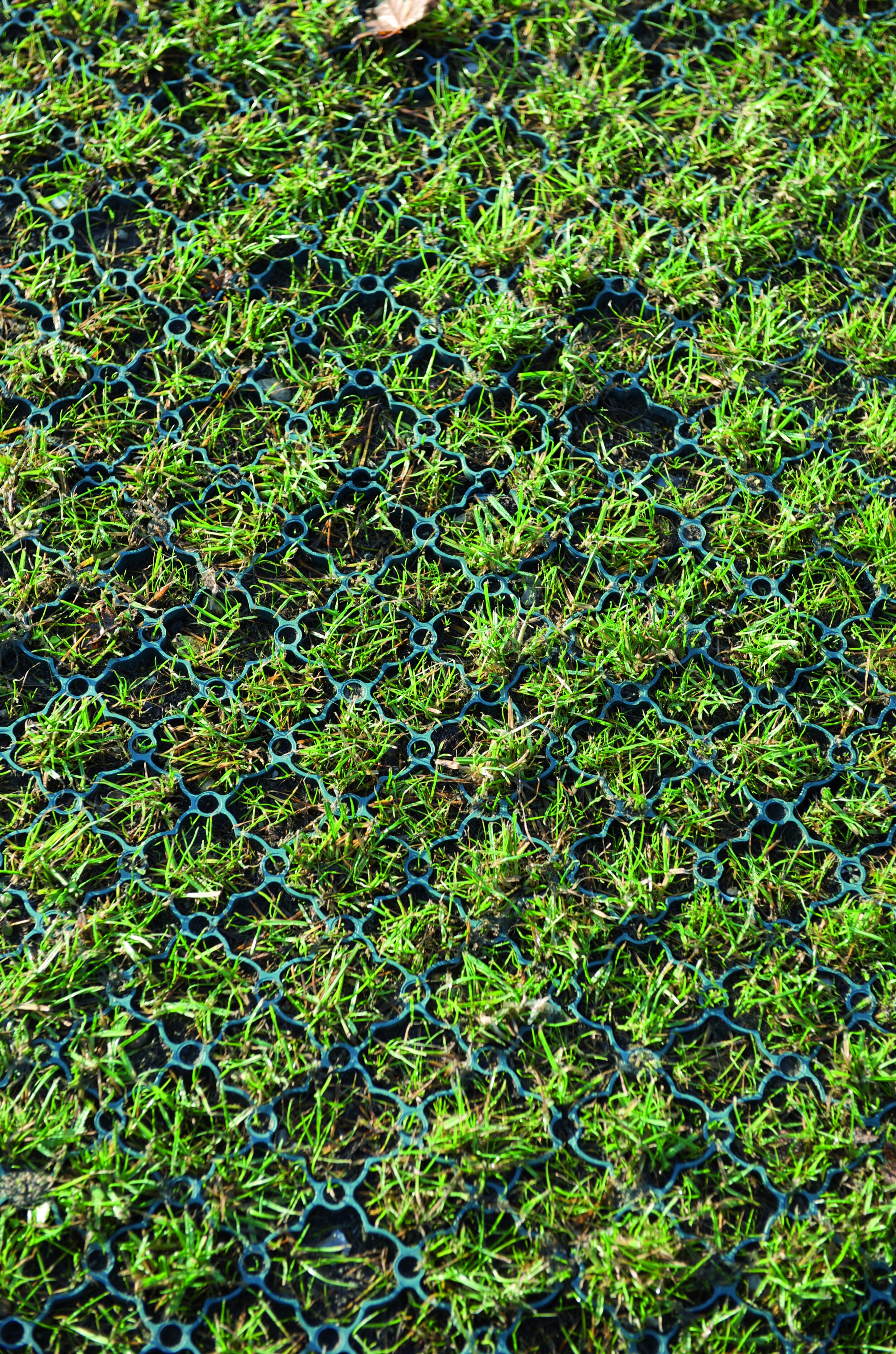 grass_panel_in_grass.jpg