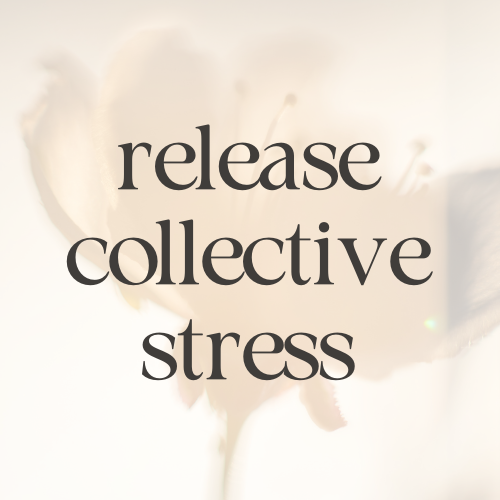 Somatic Support for Navigating Collective Stress and Global Change