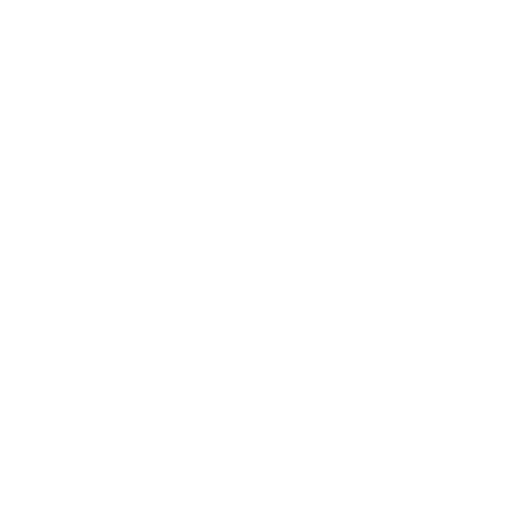 White Macy's Flower Show Logo