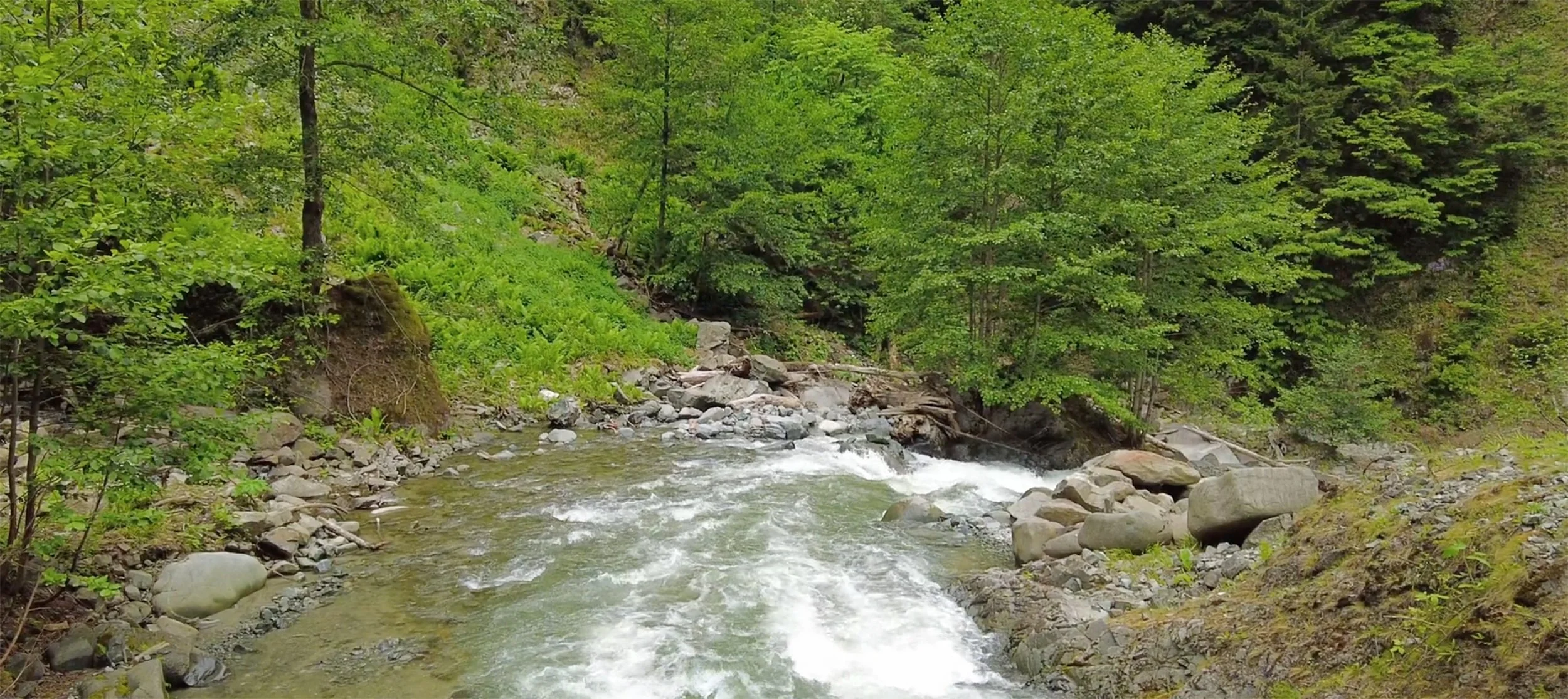 LandingPage_MobilImage_Creek_web.jpg