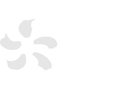 EDF Energy - Hinkley Point - Somerset - Nuclear - Pestridge