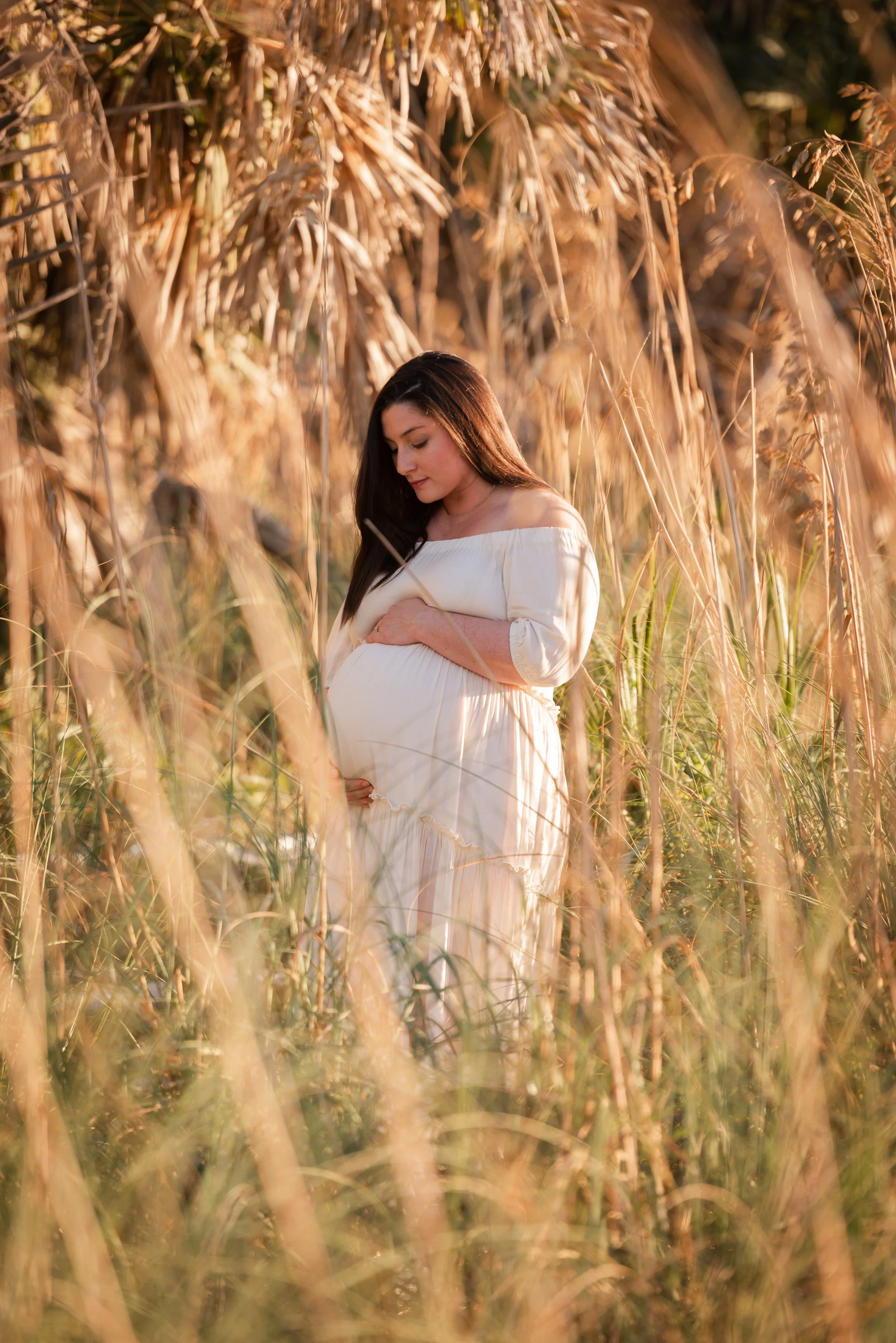 Maternity portrait in tall beach grass at golden hour, Fort De Soto Park Florida