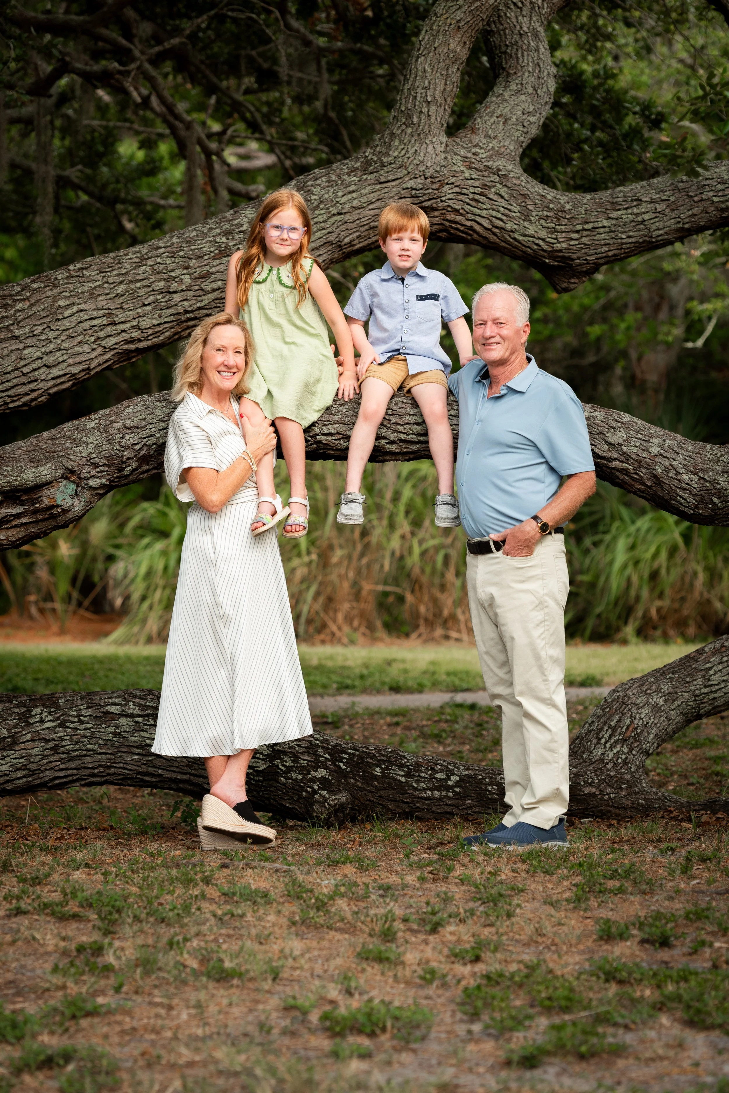 Grandparents with grandchildren sitting on oak tree branch, Dunedin FL family photography