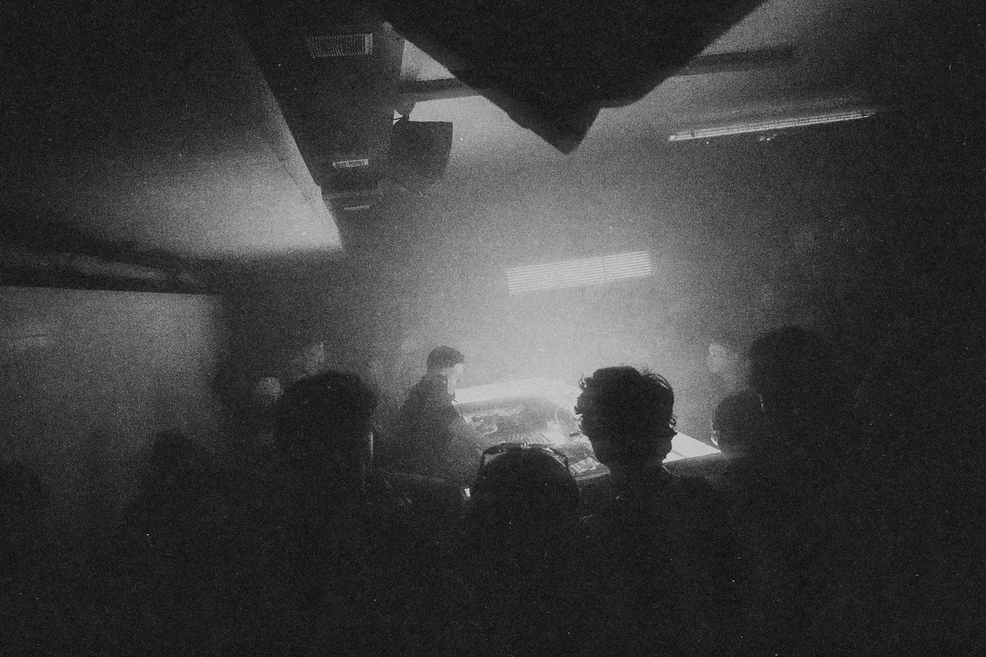 FREEDY-K-01.jpg