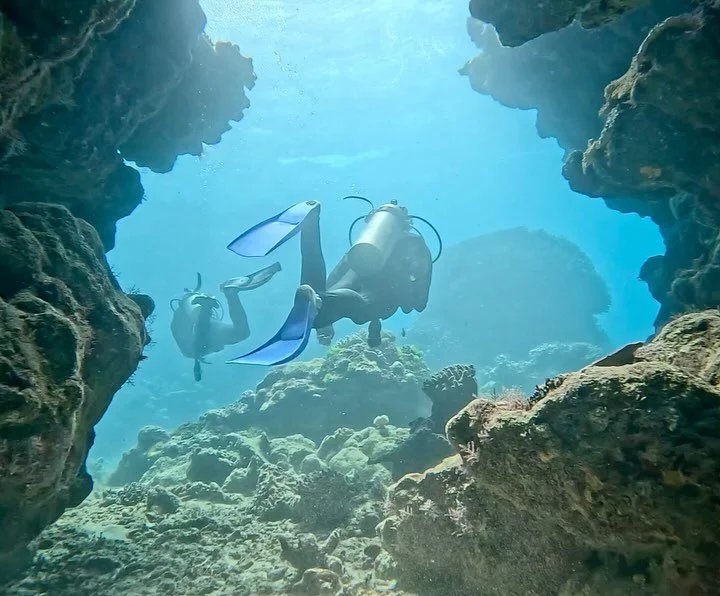 two likes and i&rsquo;ll quit the job search to become a scuba instructor