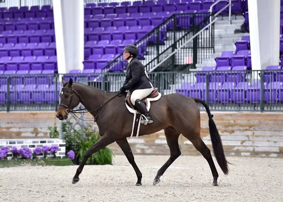 A person wearing equestrian riding gear, including a helmet, riding a horse in an arena with purple seats and fencing.
