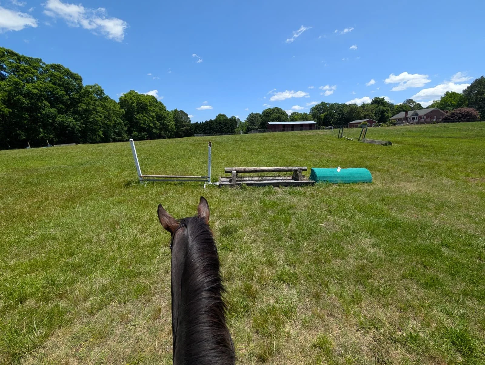 Cross Country Schooling at Finally Farm NC