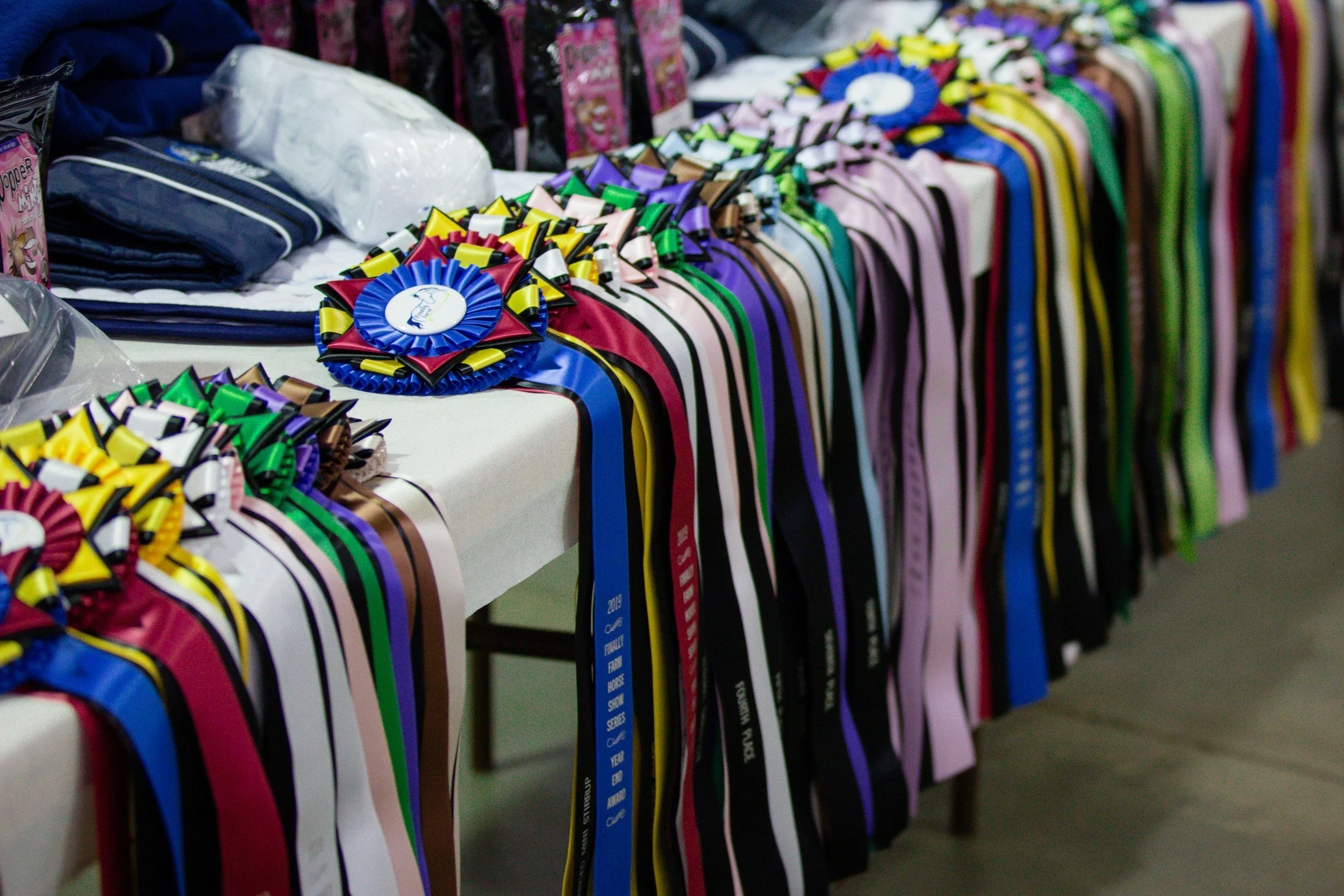 Finally Farm NC Horse Shows