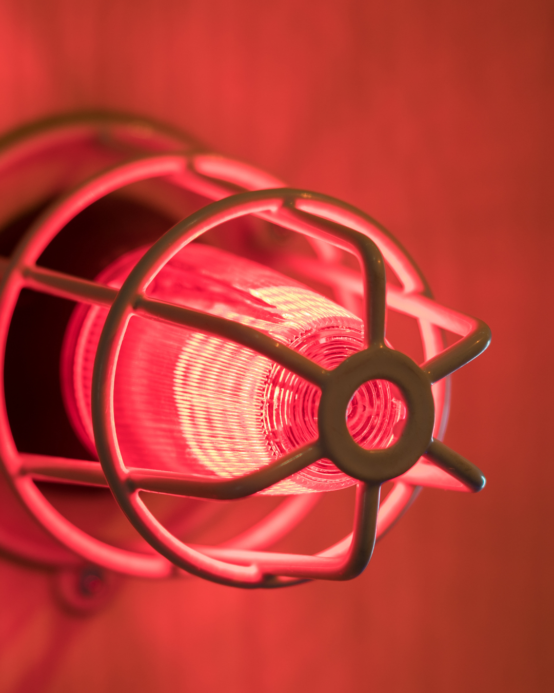 Close-up of red glowing heat lamp with protective metal cage.