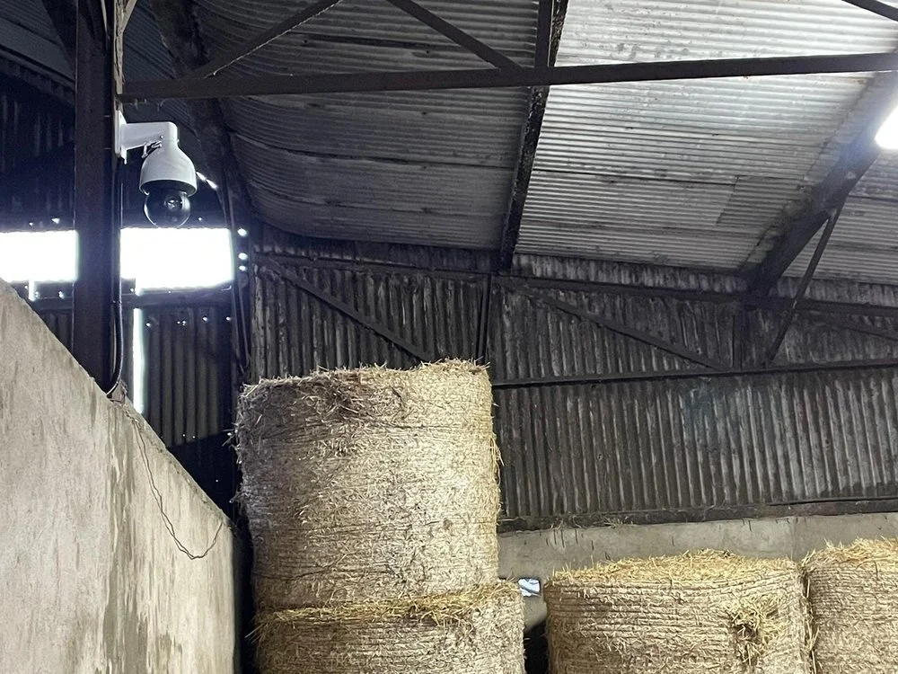 Stacked round hay bales inside a barn or warehouse with a metal roof and walls, illuminated by natural light and a security camera.
