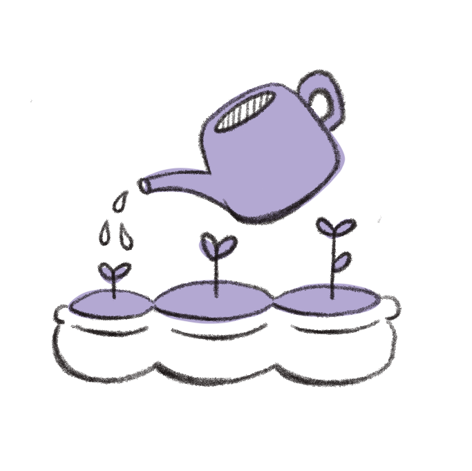 A purple watering can pouring water on three small plants growing in a row.