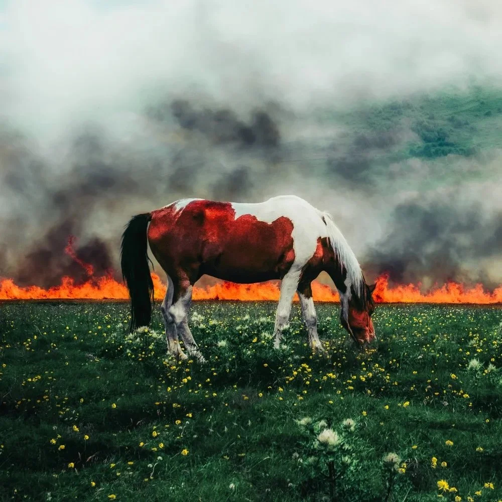 HOLY SMOKE! - Cover Art.jpeg